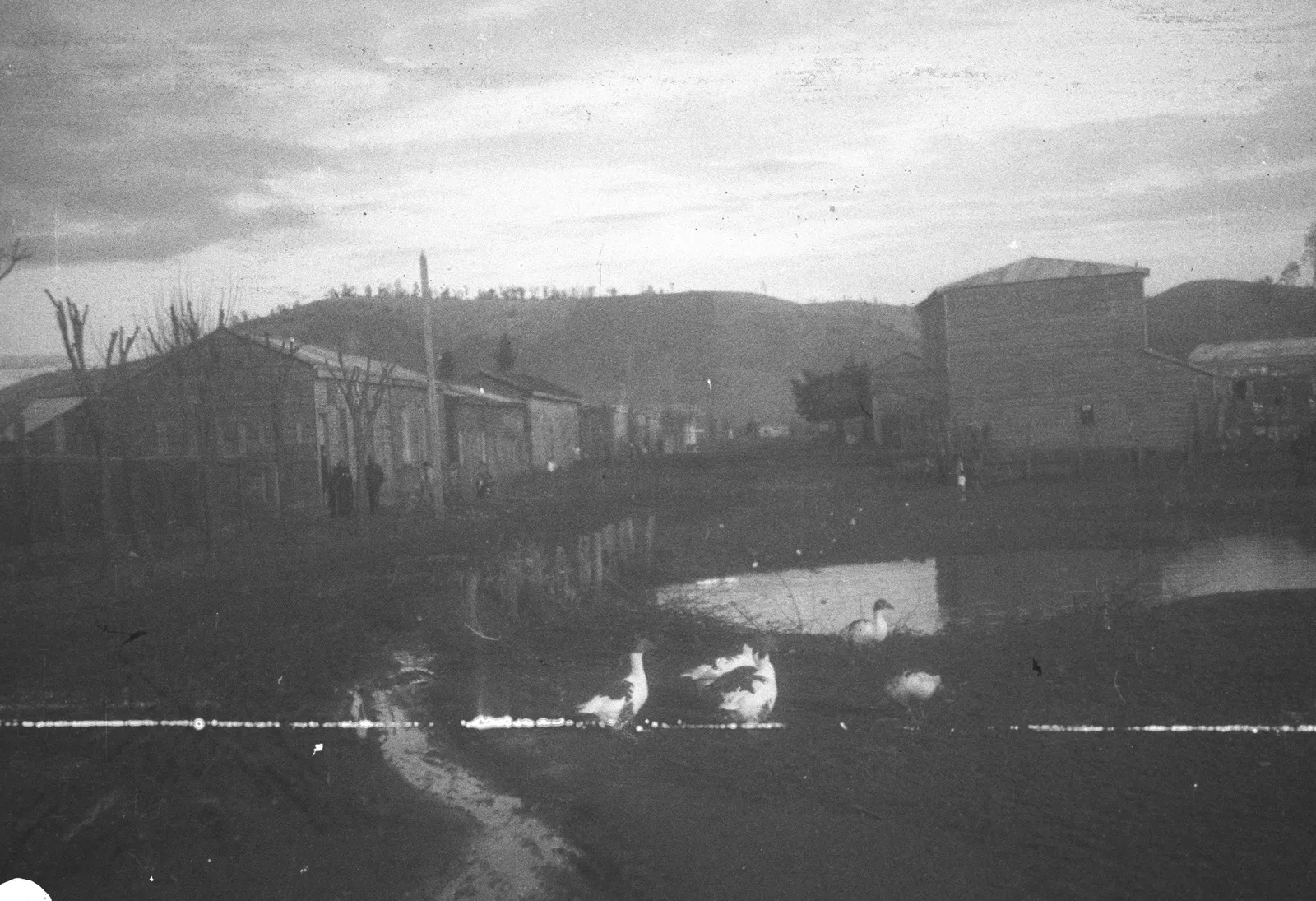 Asentamiento sin reconocer, Araucanía, 1928