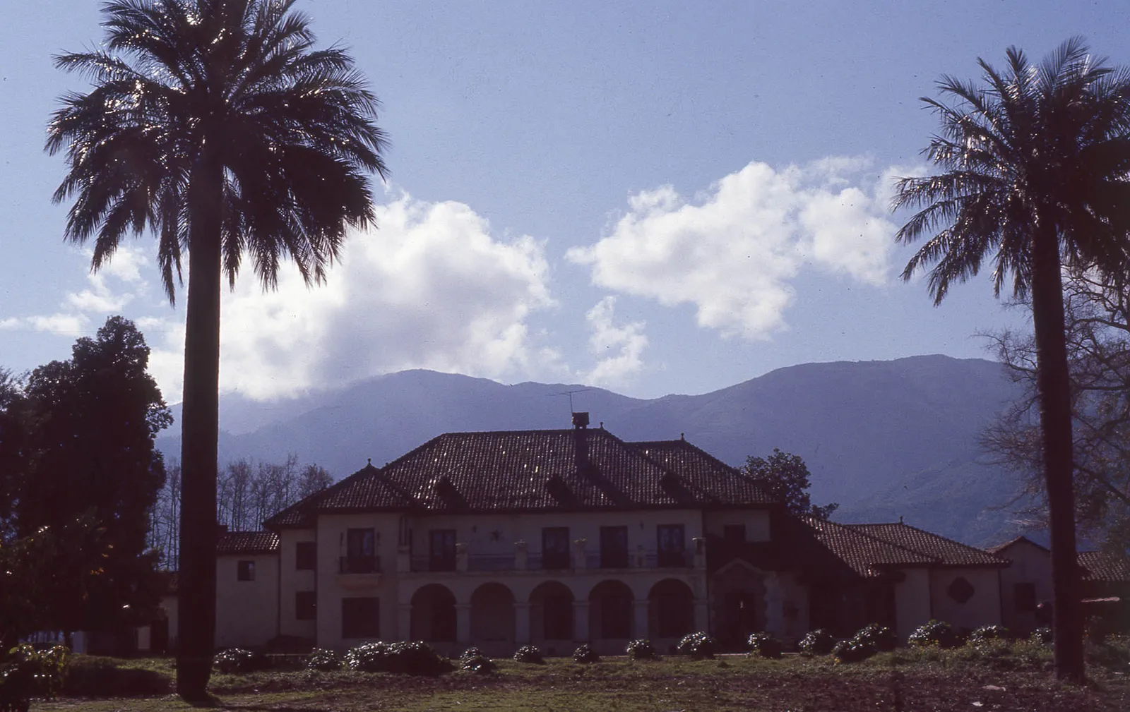 Casona de la Viña Codao, Peumo, 1983