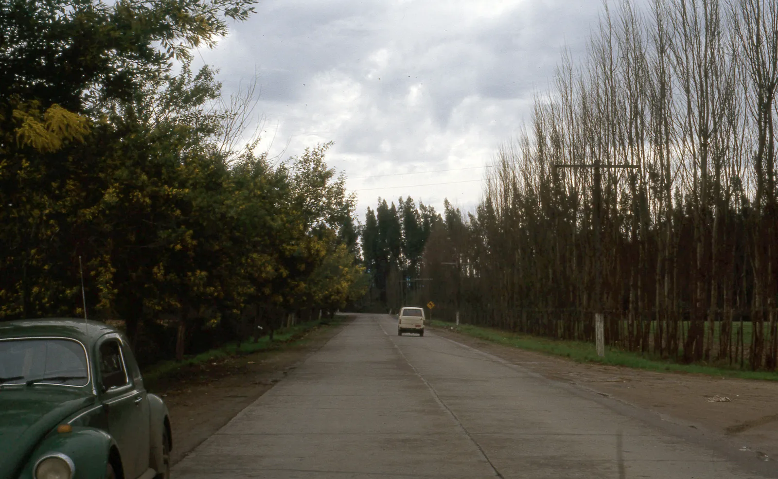 Camino a Isla de Maipo, 1983