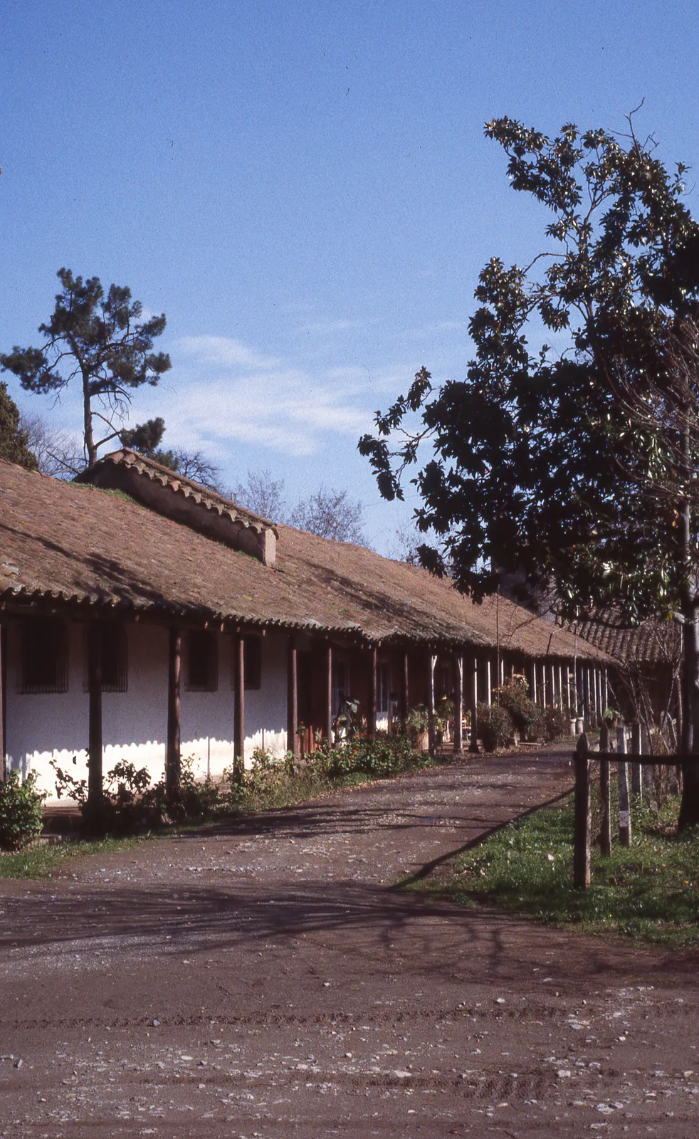 San Agustin de Chena, 1983