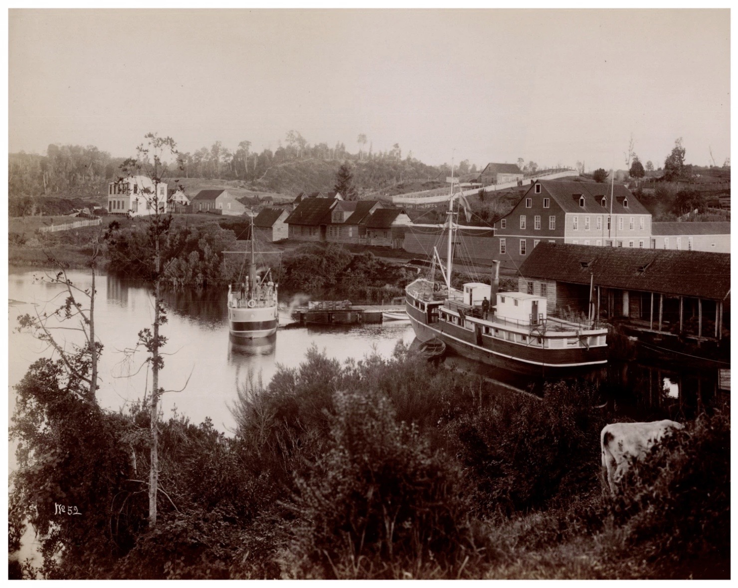 Puerto Octay, 1919