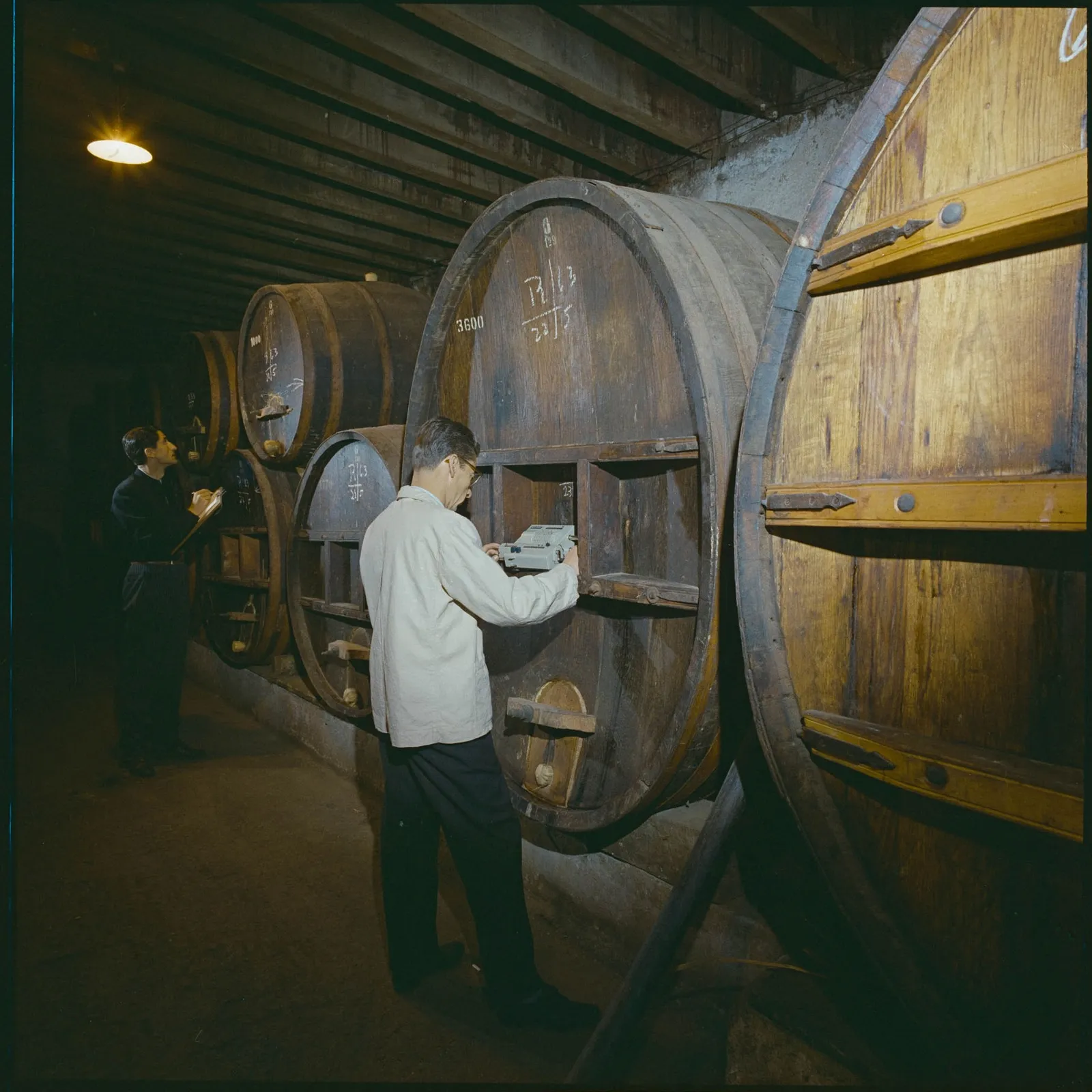 Viña Undurraga y calculadoras Facit, 1964
