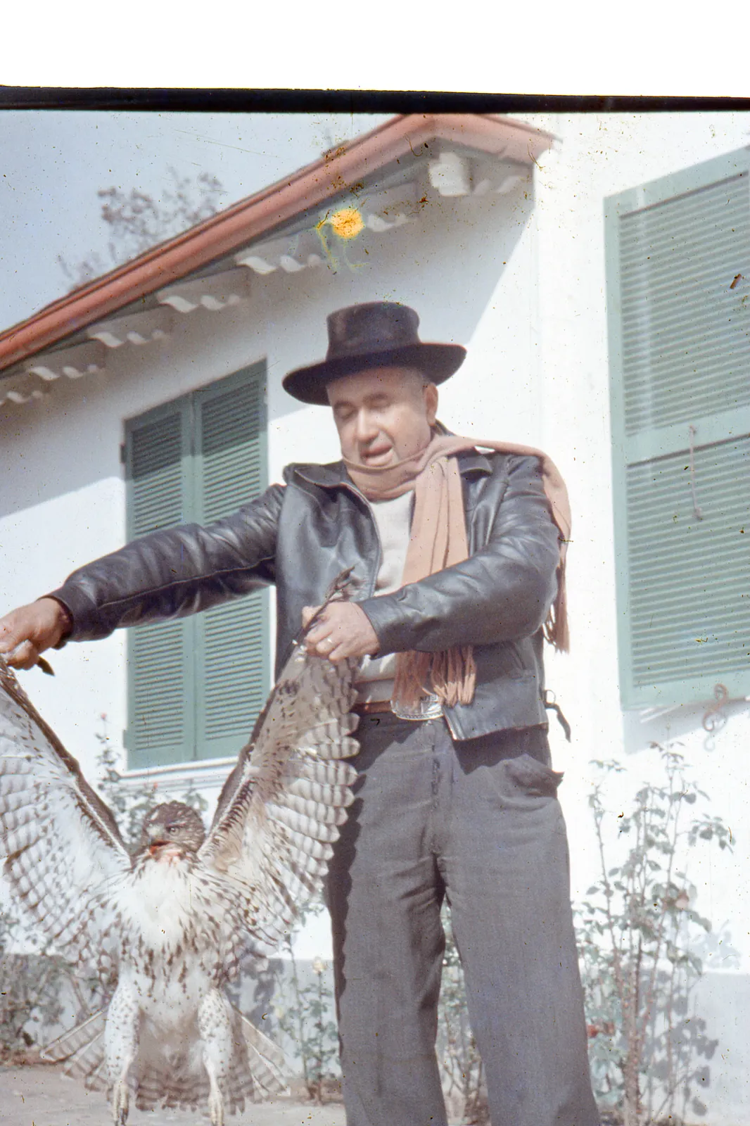 Escena campesina, 1966