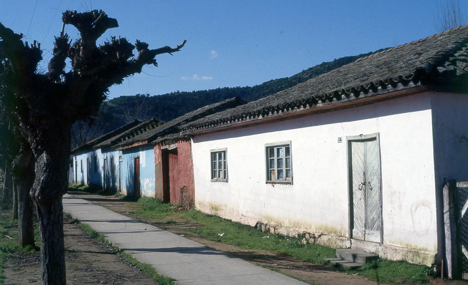Casas de Doñihue, 1983