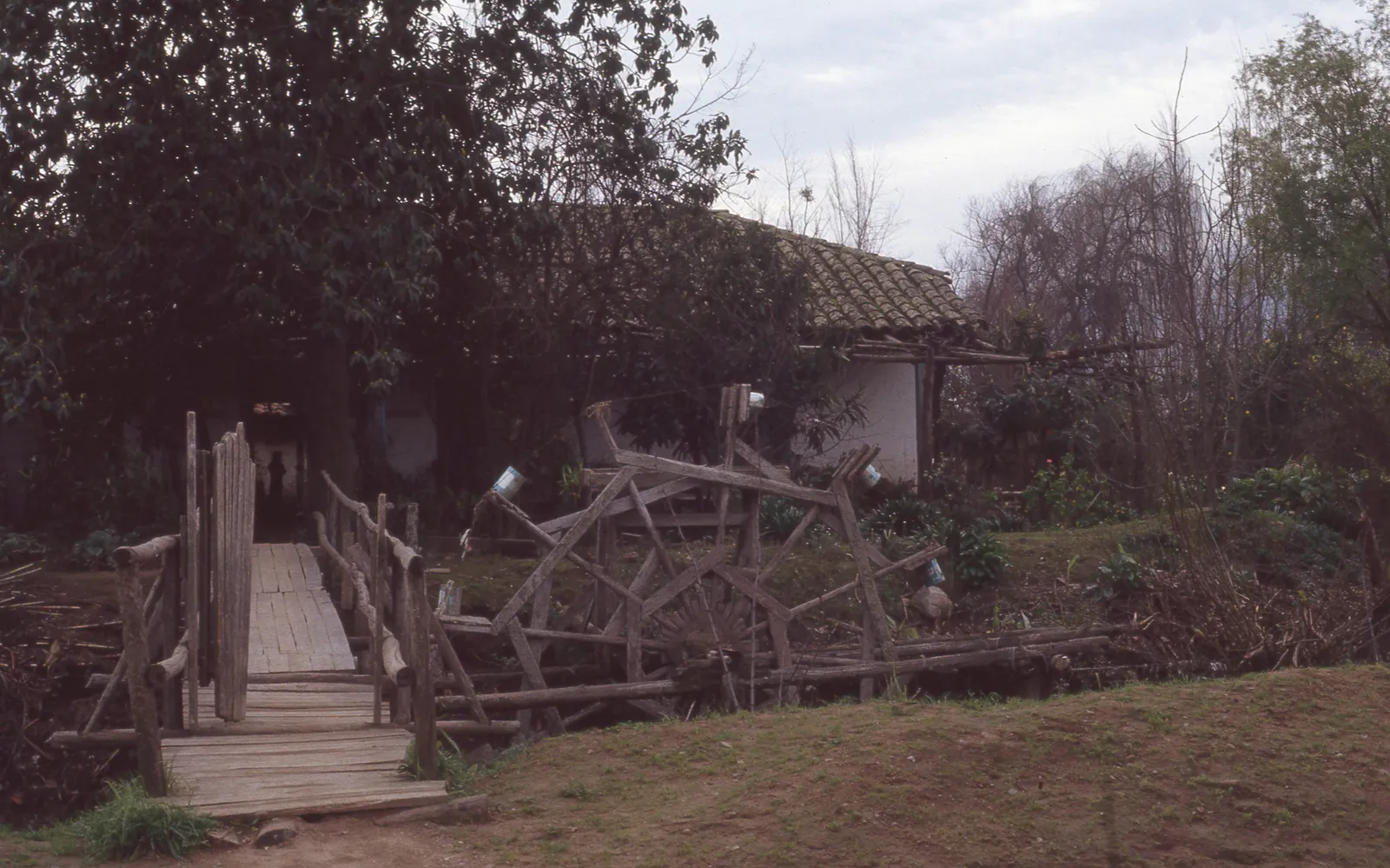 Molino de agua, camino a Almahue, 1983