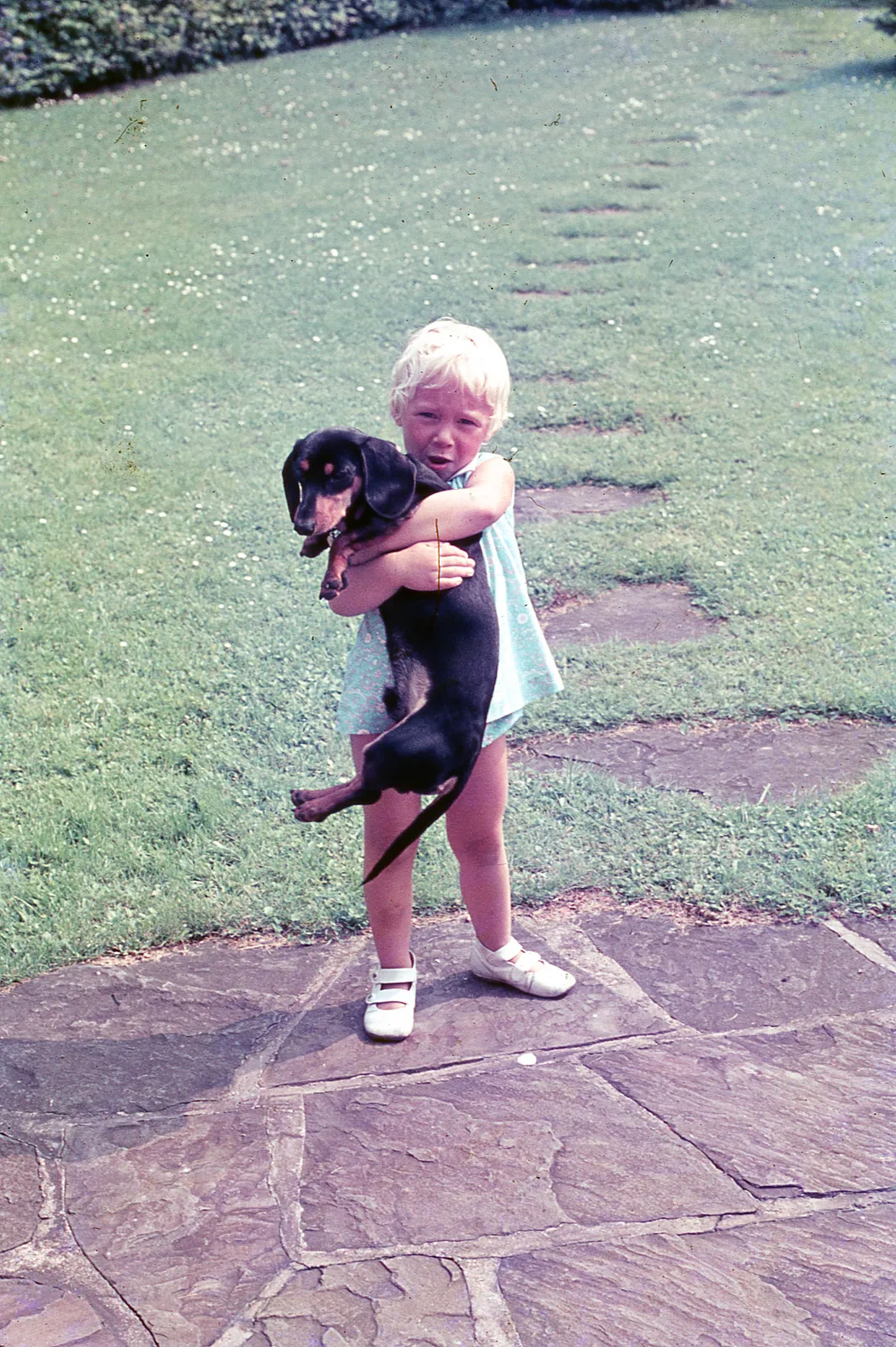 Niña sosteniendo a un perro salchicha en el jardín, 1975