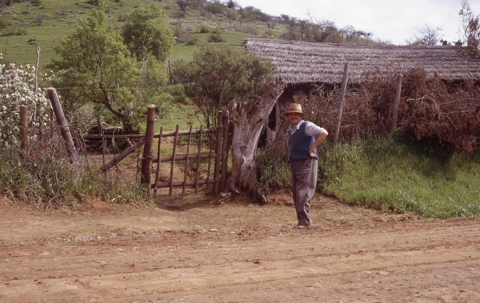 Rancho típico de Cuncumén, 1983