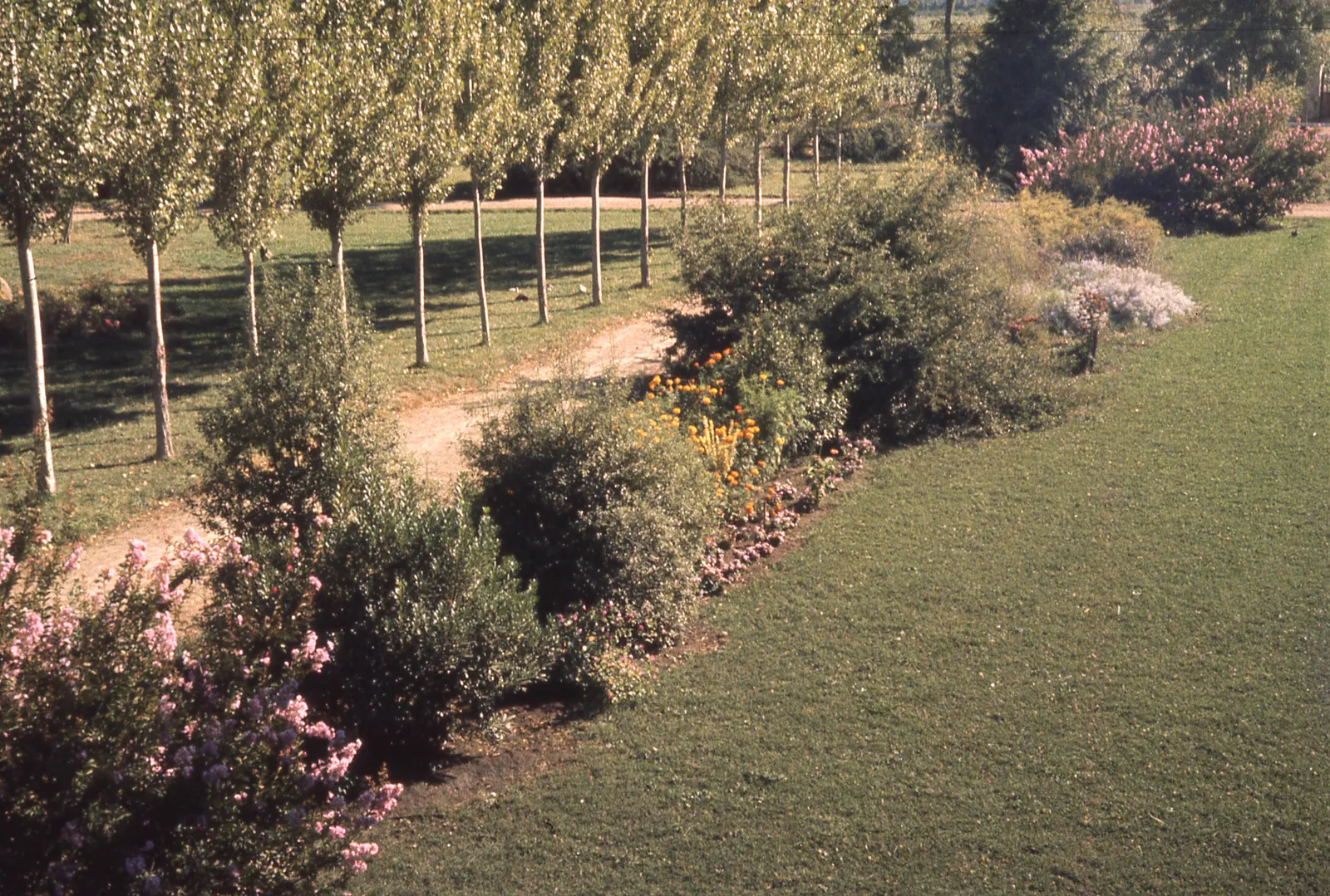 Jardin en casa de campo, 1965
