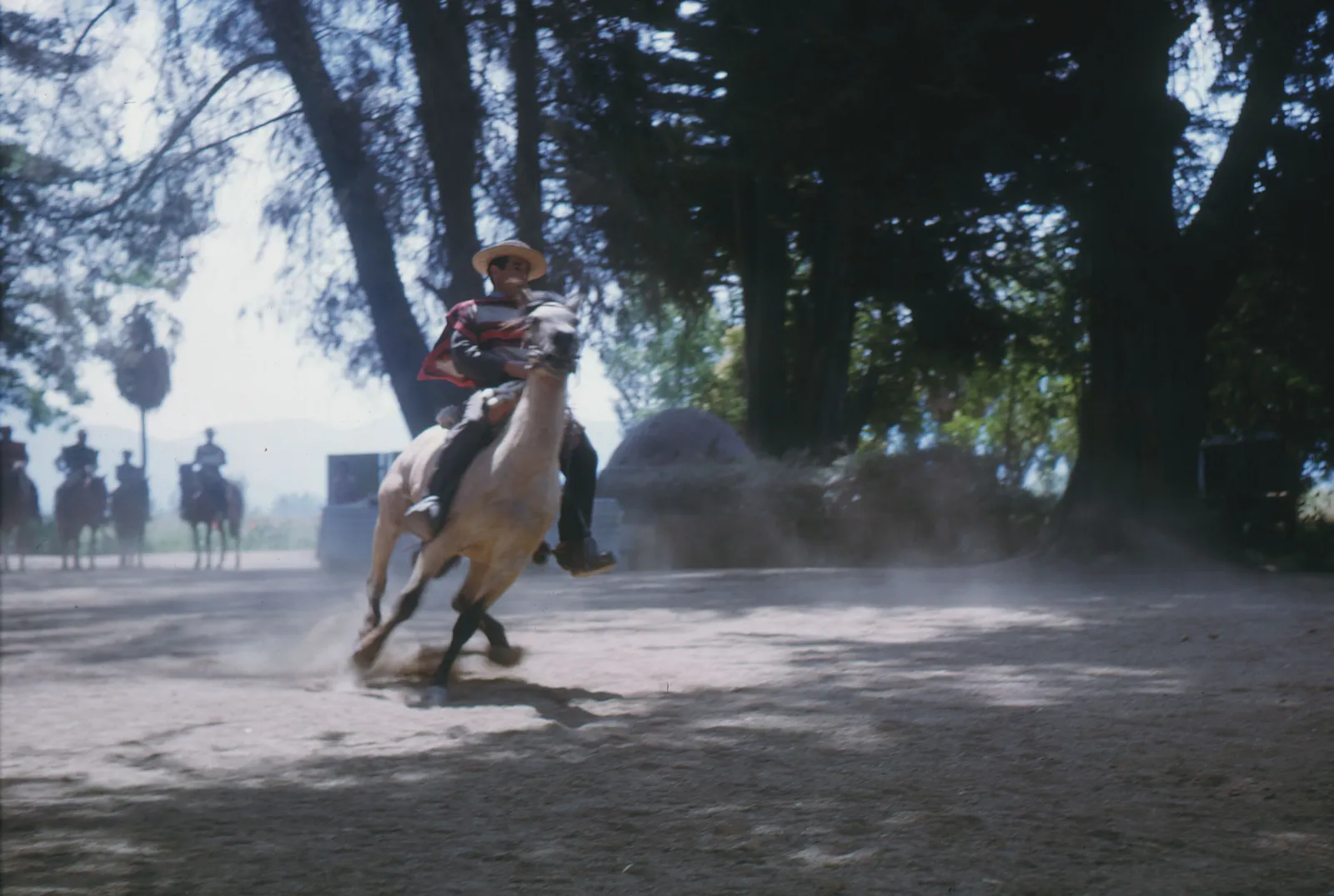 Exhibición equina, zona central, 1965