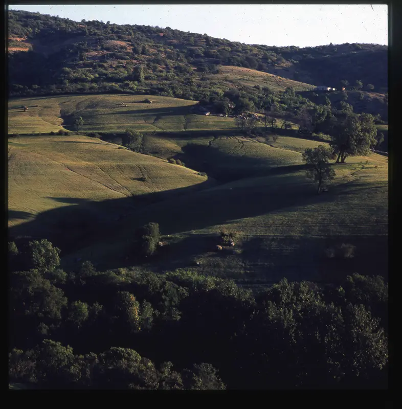 Colinas y faldas de cerro, Valle Venado, Región de Valparaíso, Chile, 1950 - 1965