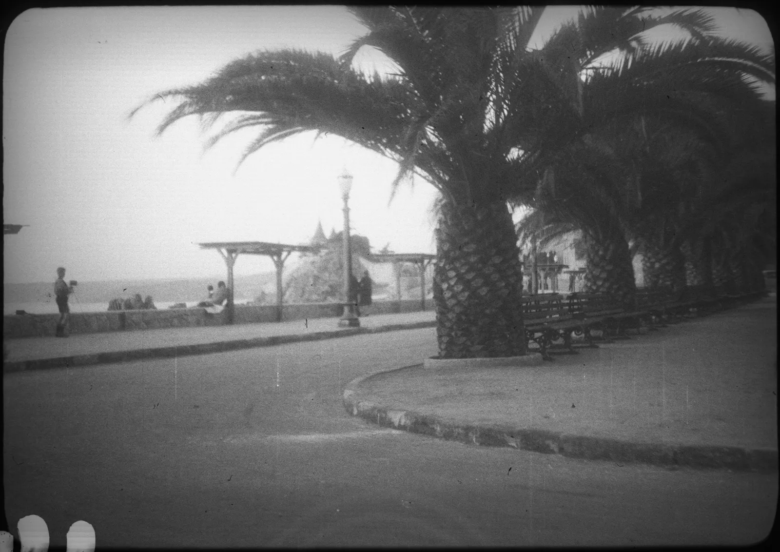 Camino costero Valparaíso - Viña, 1928
