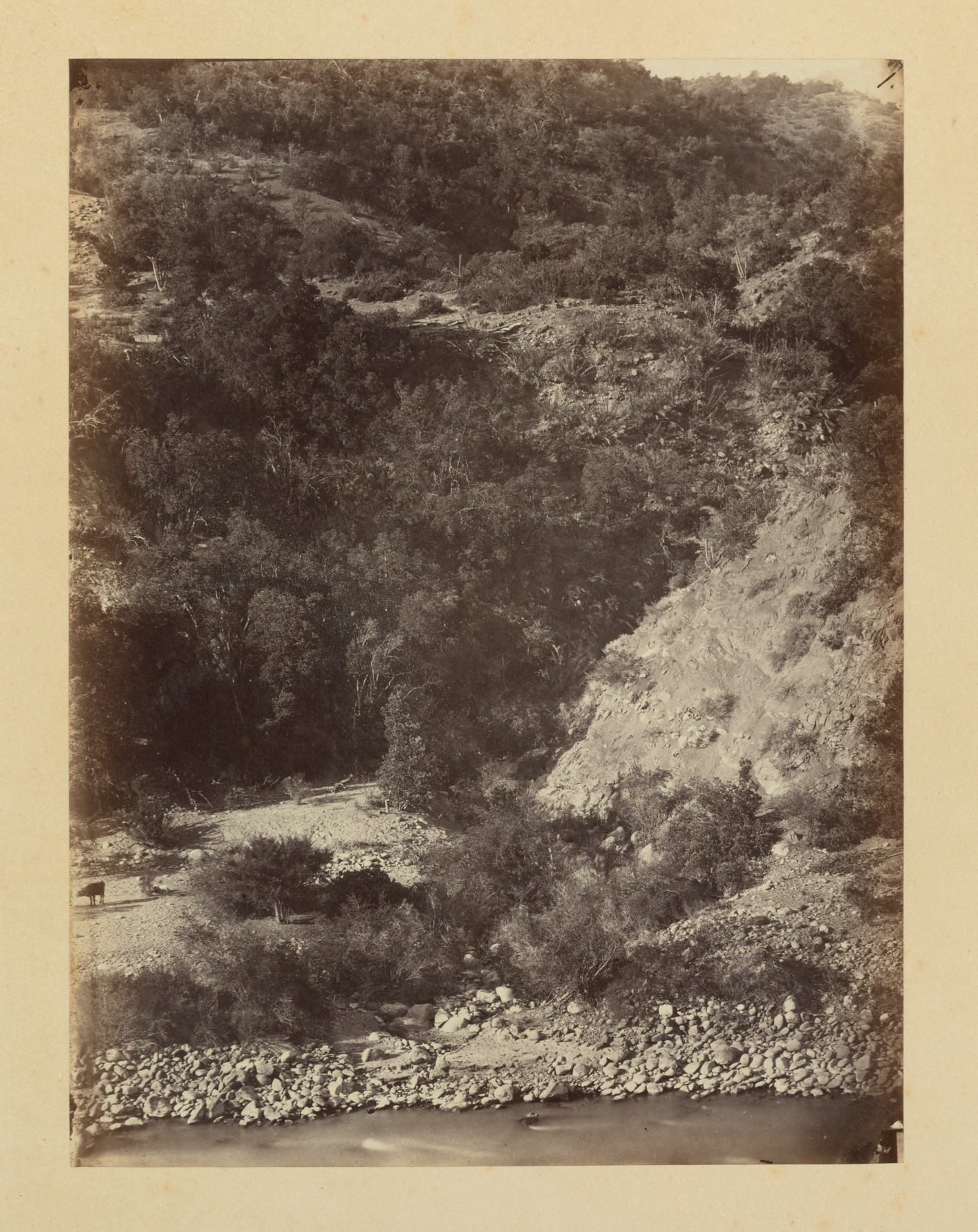 Vista de una ladera, Machalí, 1868