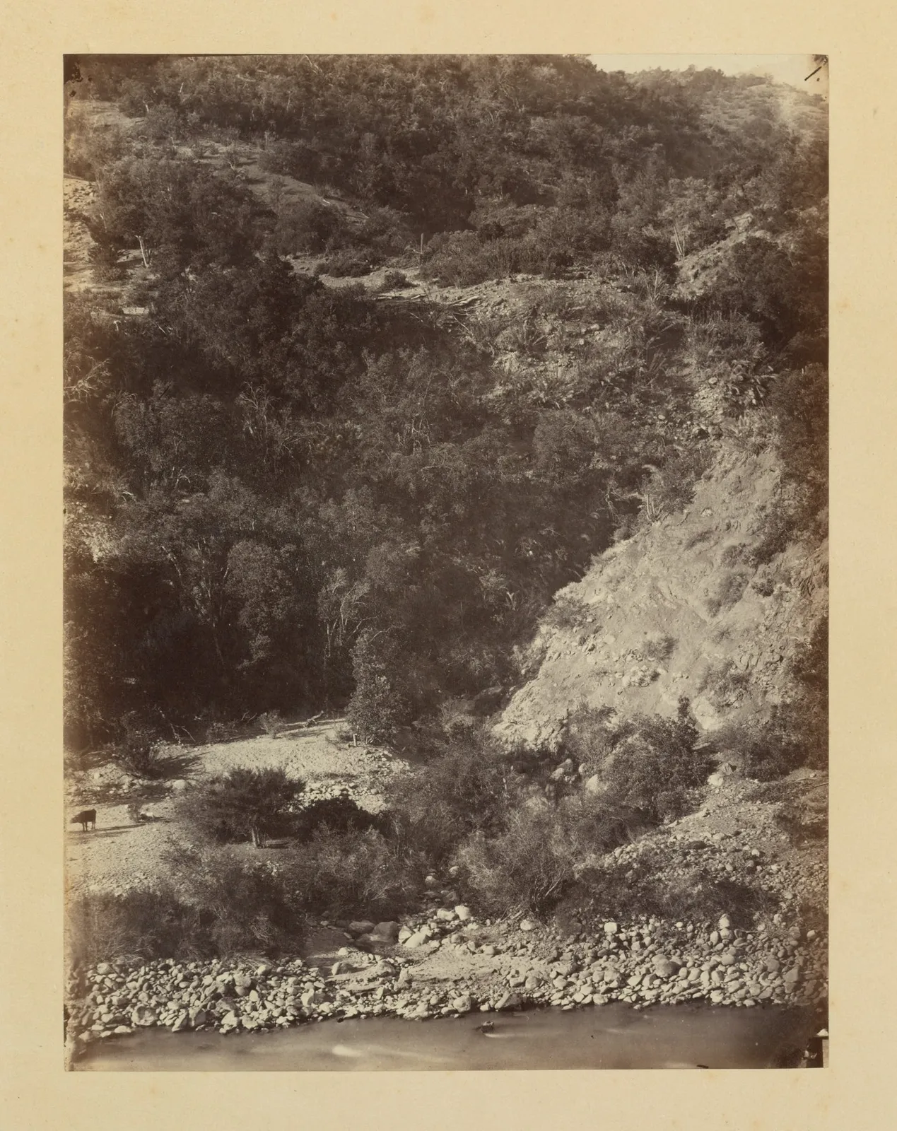 Vista de una ladera, Machalí, 1868