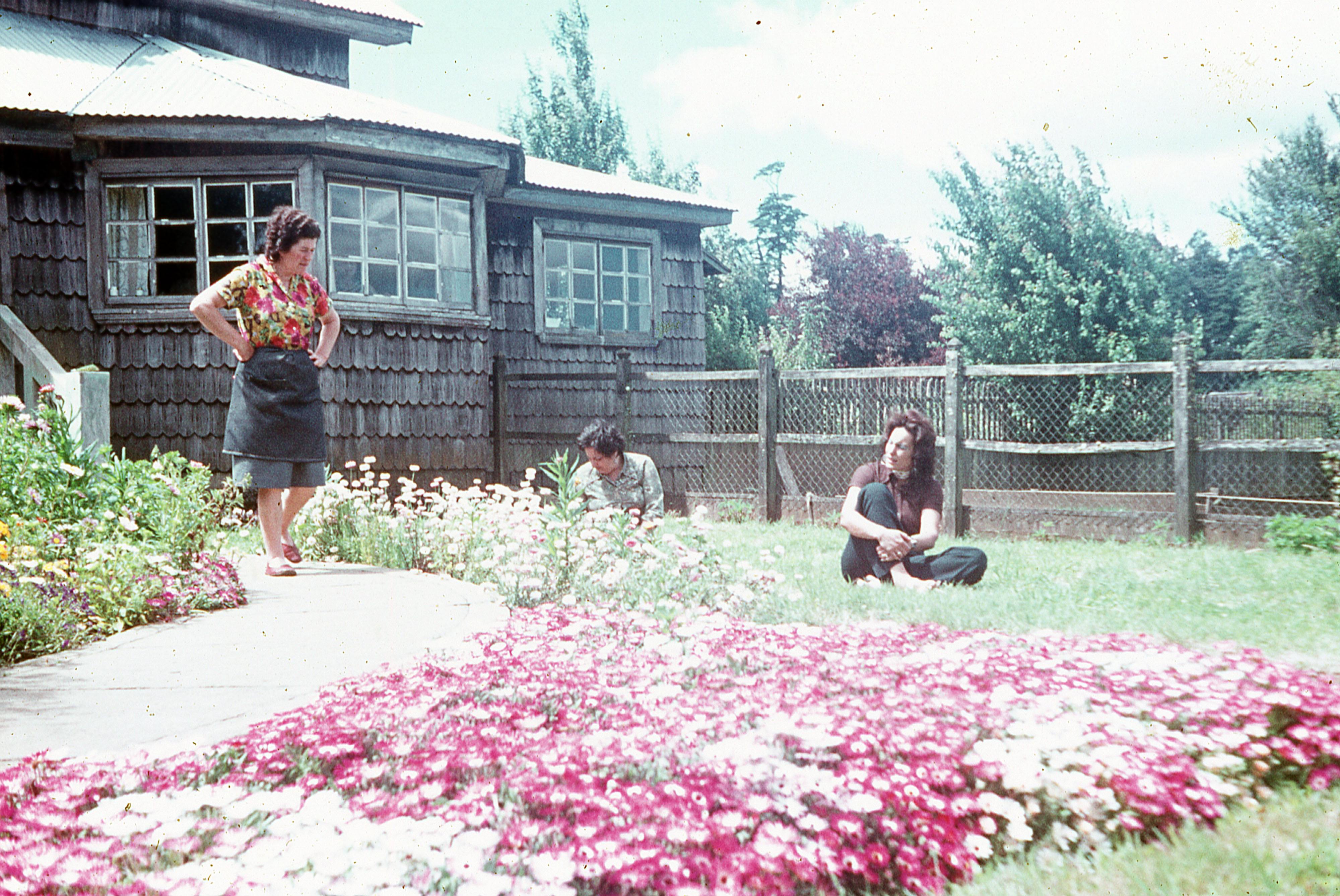 Jardín de una casa (cerca de Rio Frio), 1975