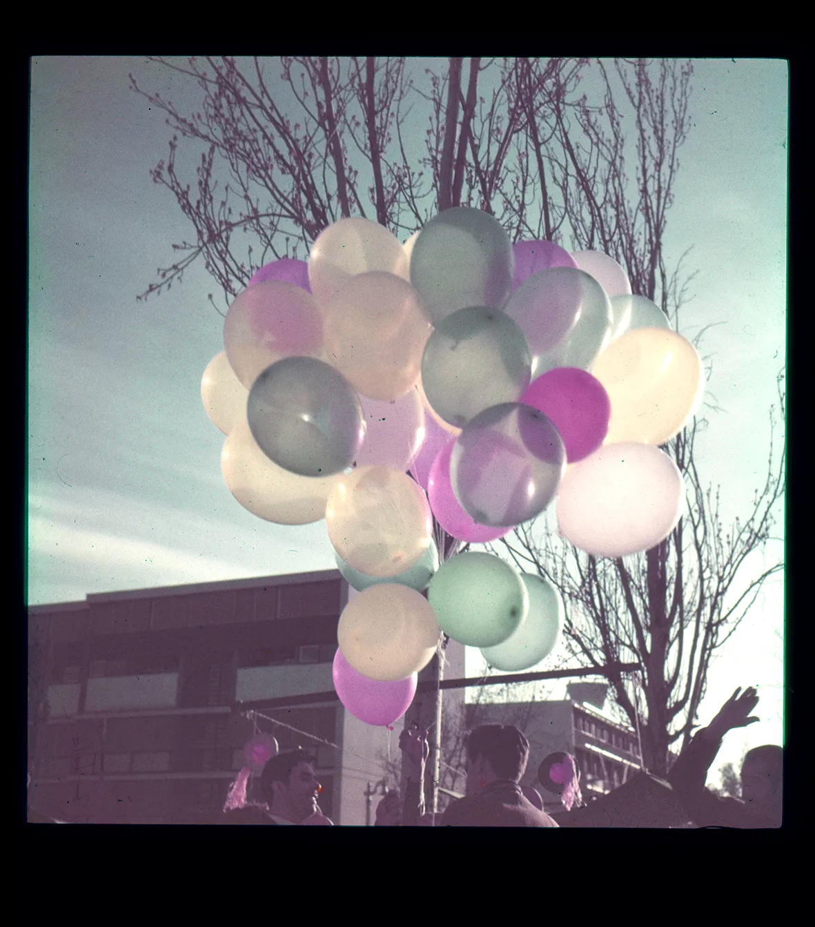 Globos con helio, Recoleta, Región Metropolitana, Chile, 1950 - 1965