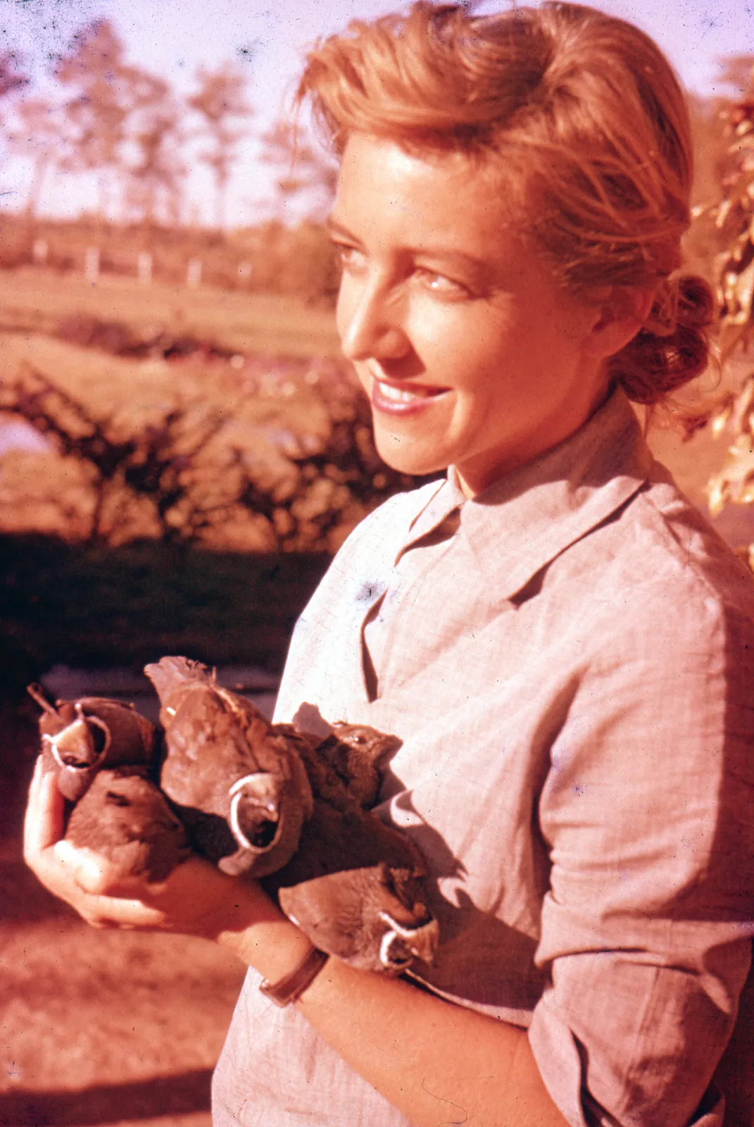 Retrato en el campo en 1966