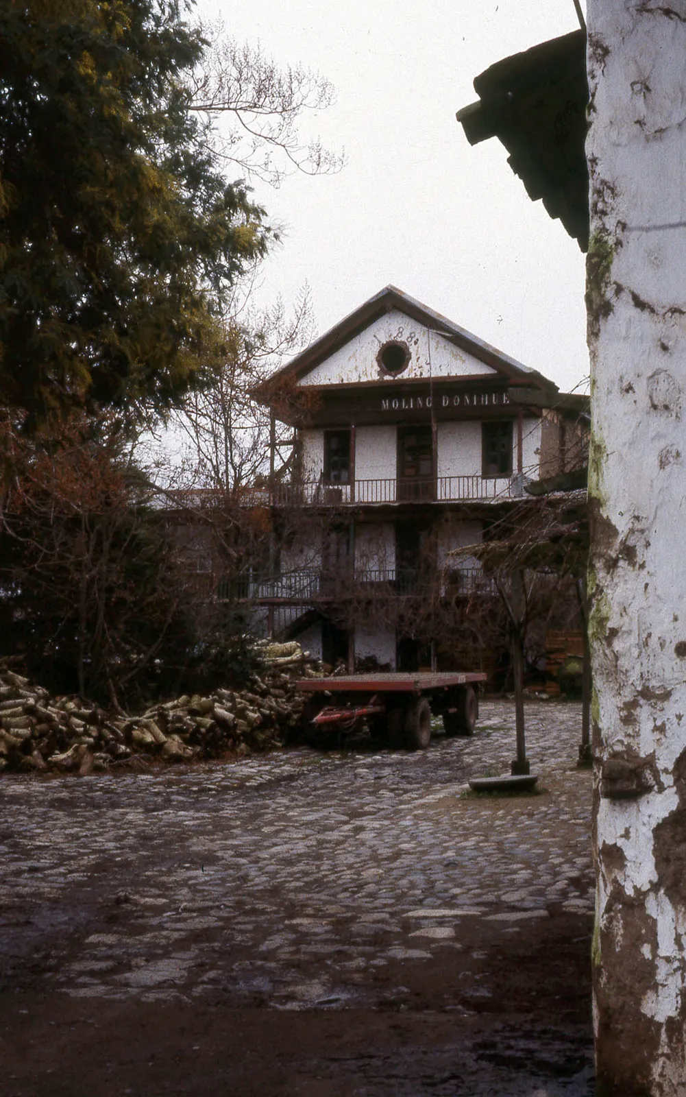 Molino de Doñihue, 1983