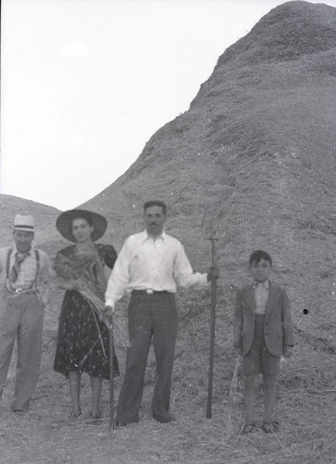 Trabajos en el campo, 1920