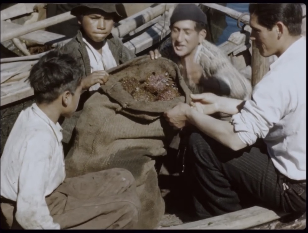 Erizos en Melinka, ca. 1945