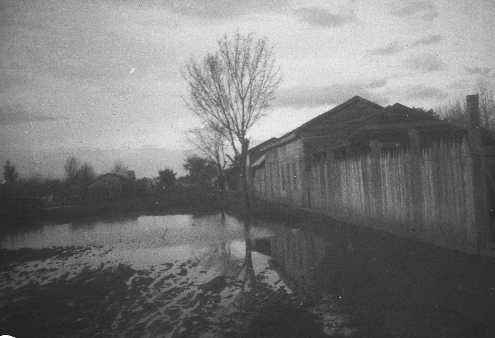 Asentamiento en la Araucanía, 1928