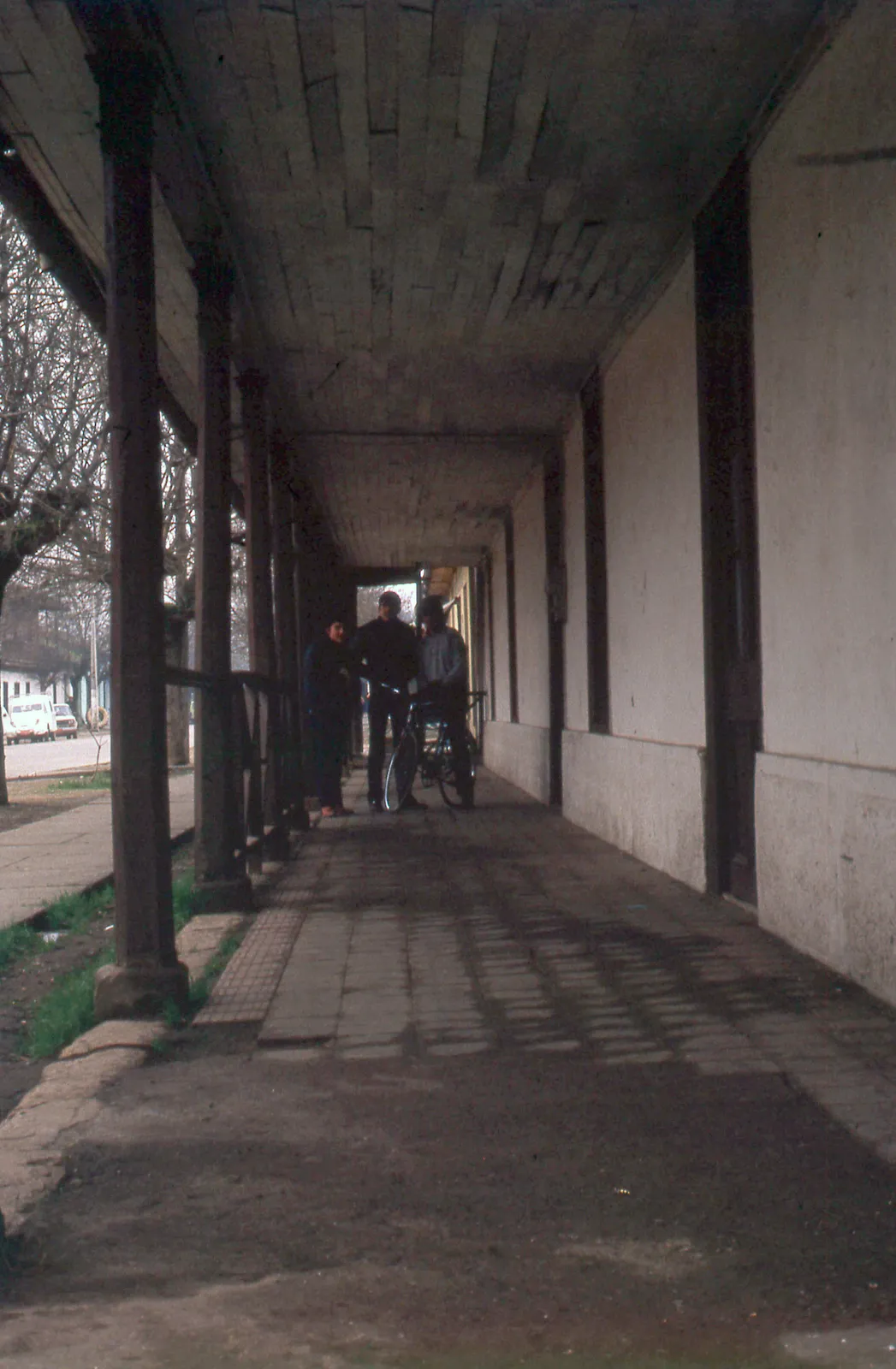 San Vicente de Tagua Tagua, 1983