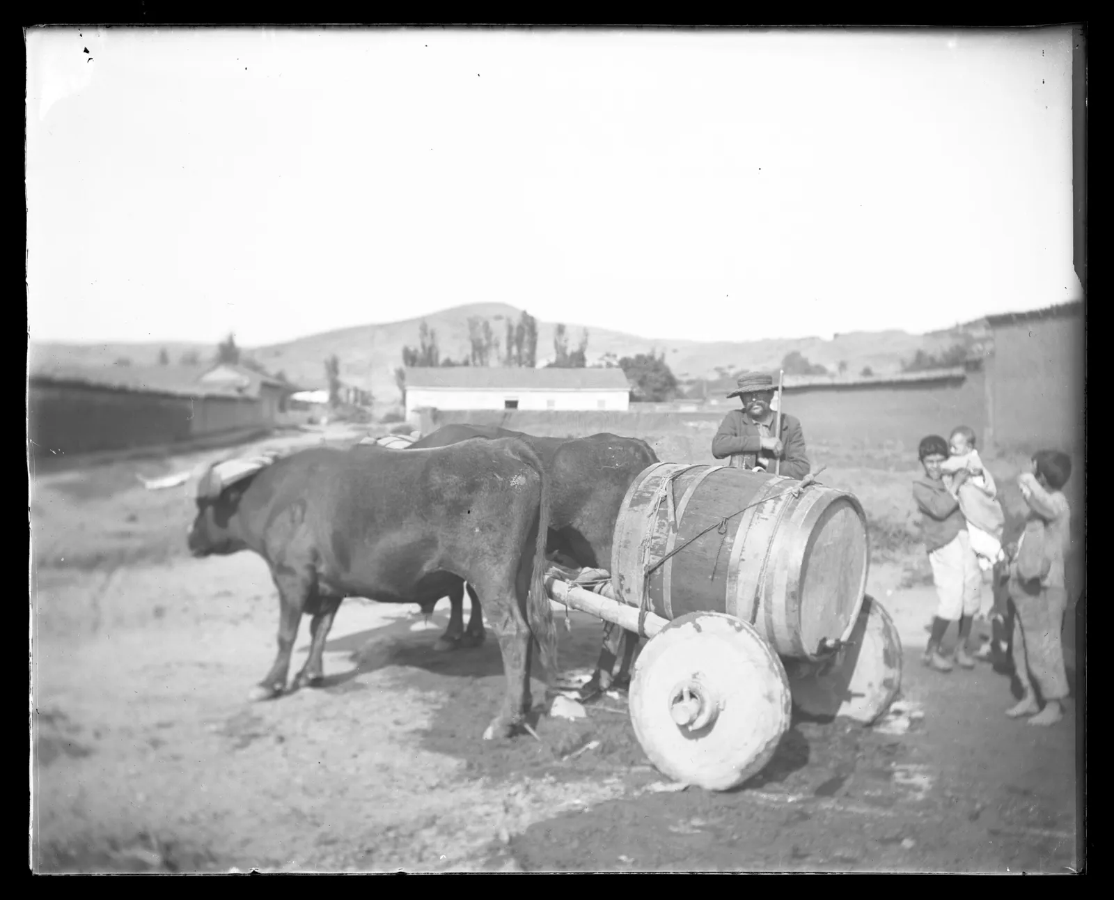 Niños y hombre junto a yunta de bueyes, lugar sin identificar, ca. 1903