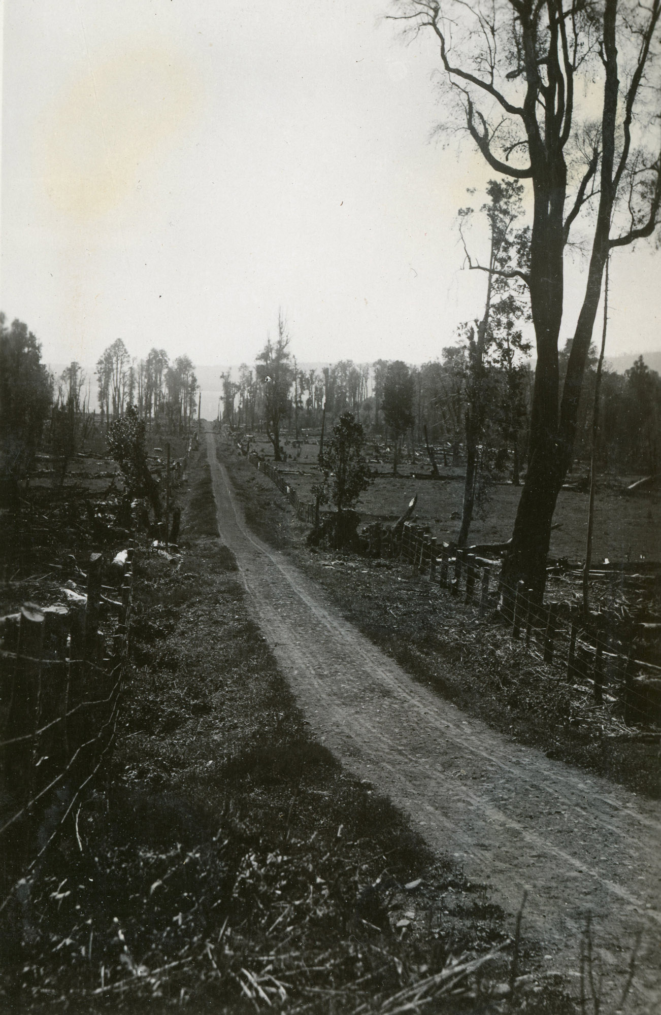 Camino a las Termas de Puyehue, ca. 1928