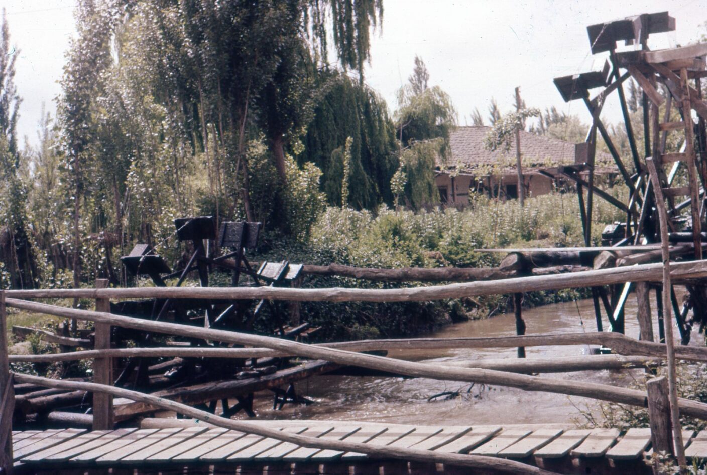 Molinos de agua en Peumo en 1960