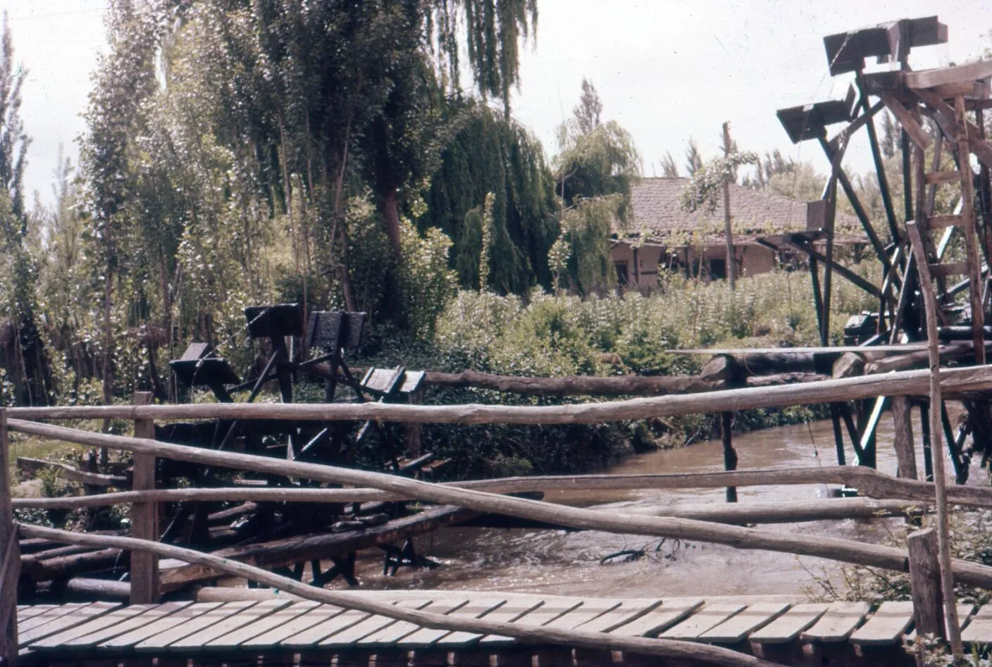 Molinos de agua en Peumo en 1960