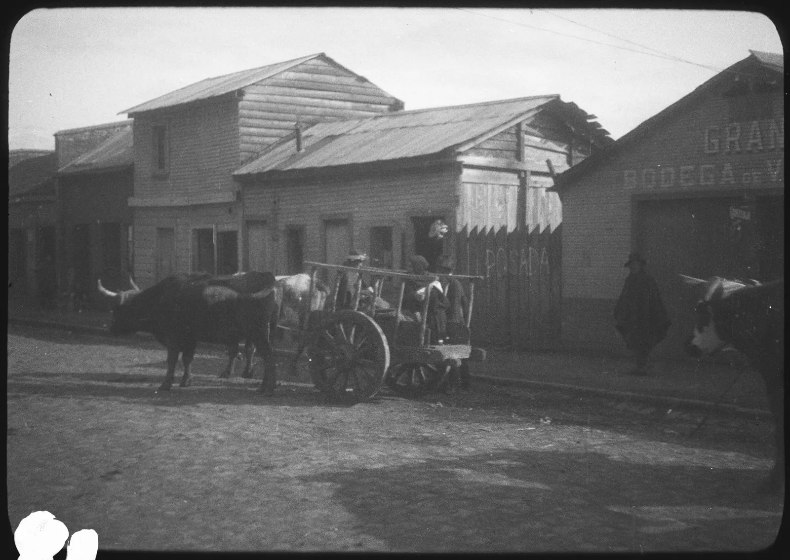 Carreta de bueyes, Araucanía, 1928