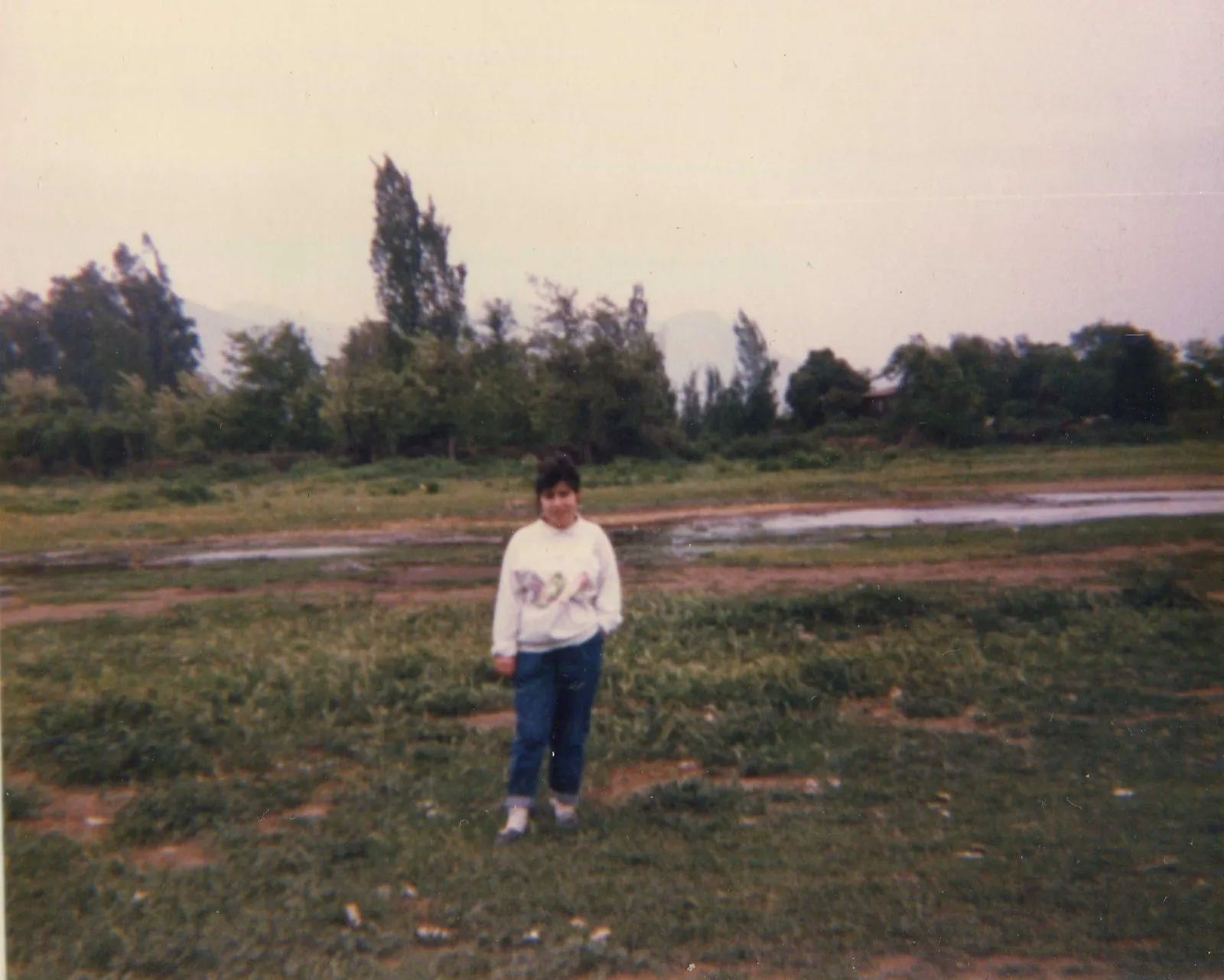 Humedal de Quilicura, 1989