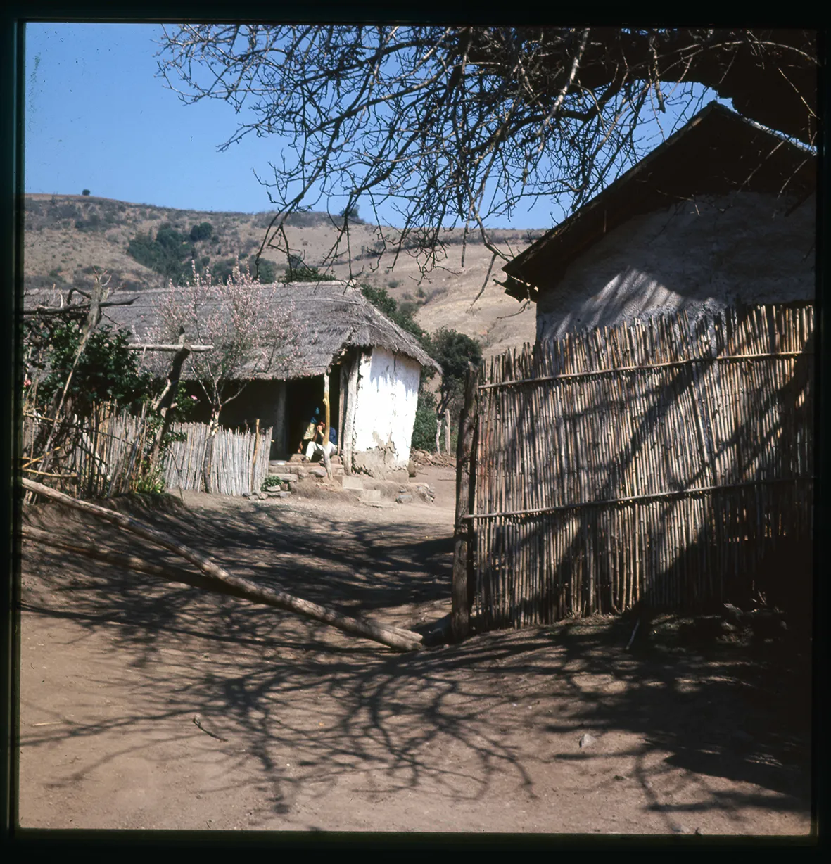 Casas rurales, Canela, Región de Coquimbo, Chile, 1950 - 1965