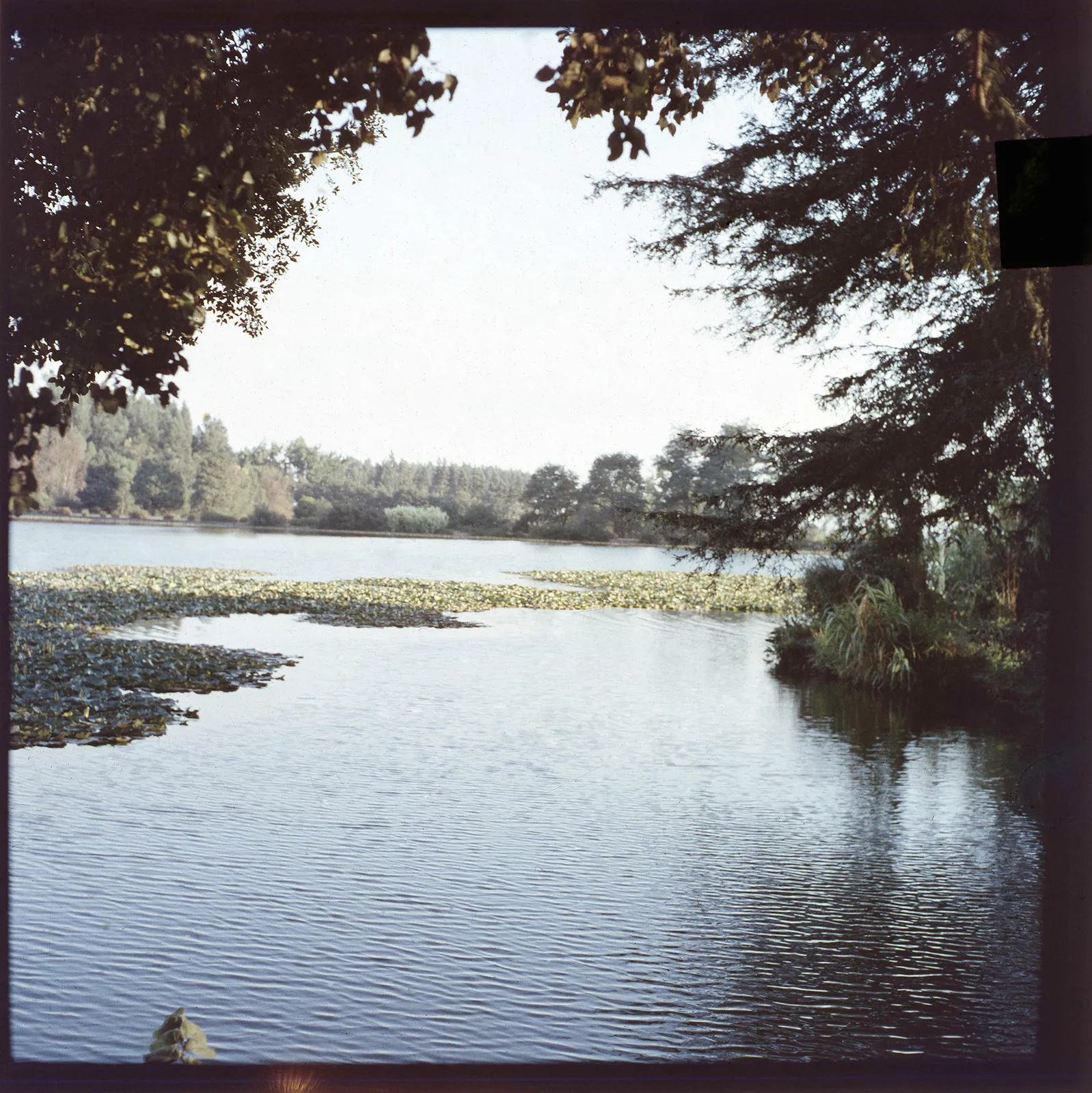 Humedal, Chile, 1950 - 1965