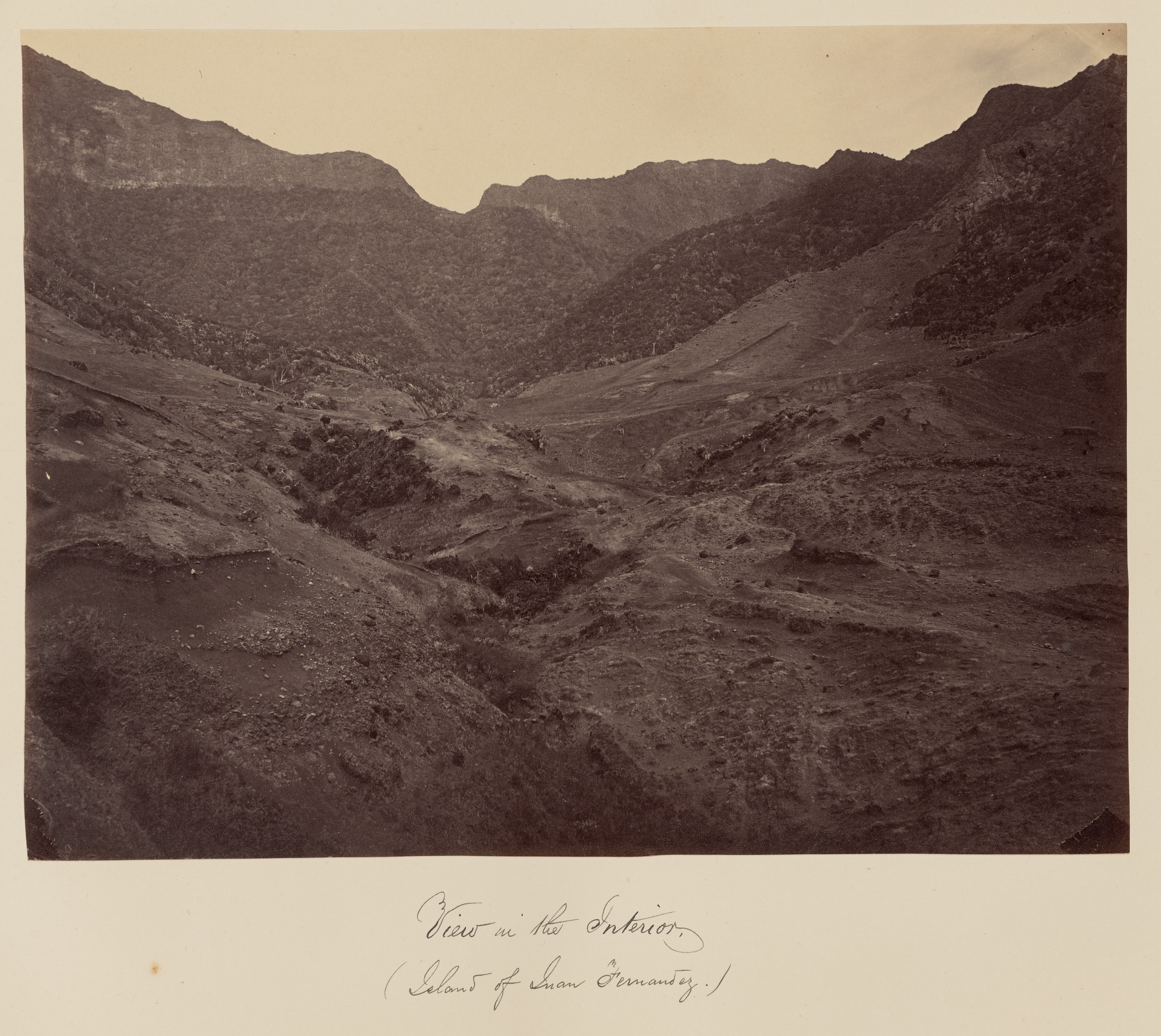 Interior de la Isla Robinson Crusoe, Archipiélago Juan Fernández, 1860