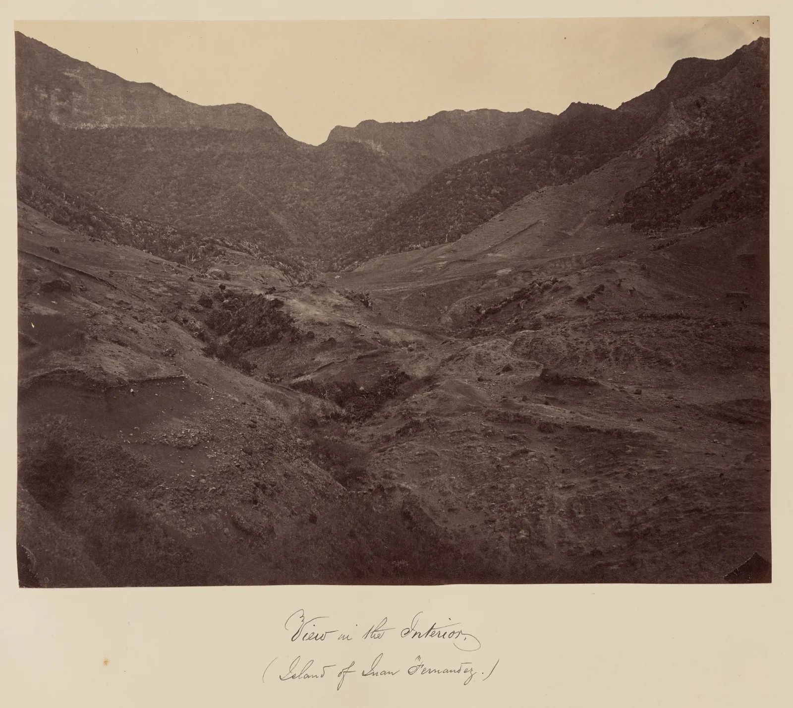 Interior de la Isla Robinson Crusoe, Archipiélago Juan Fernández, 1860