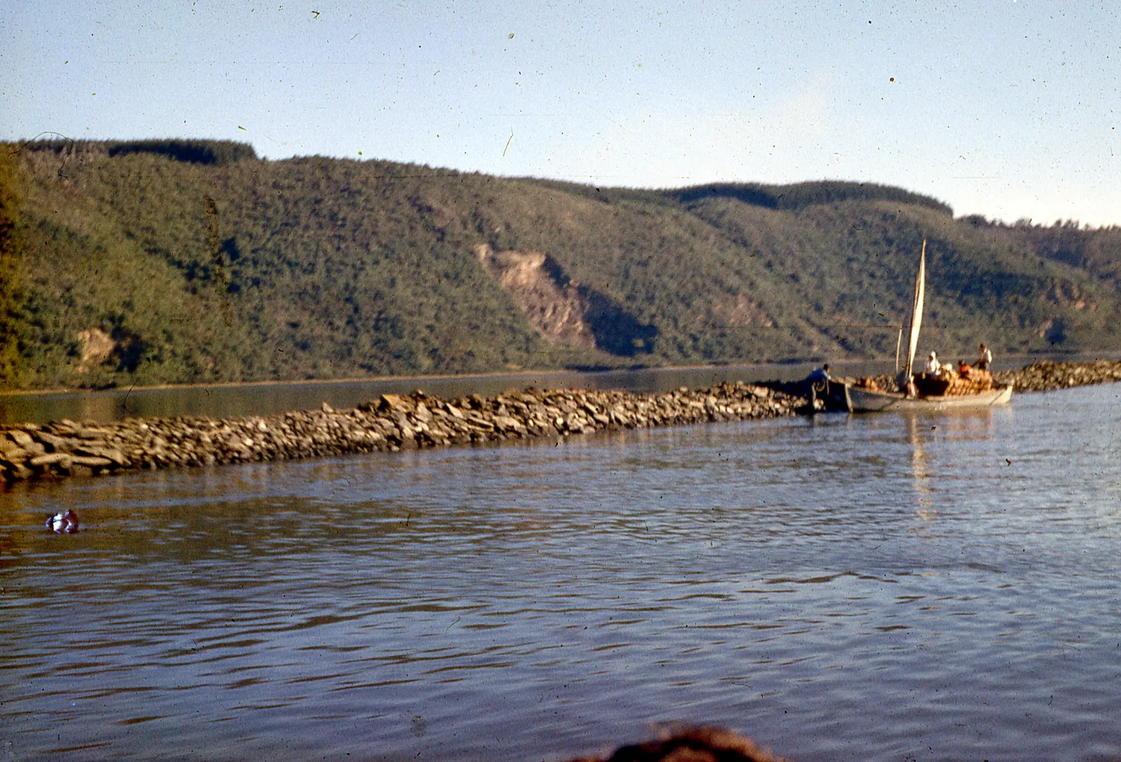 Cercanías de Valdivia, 1960