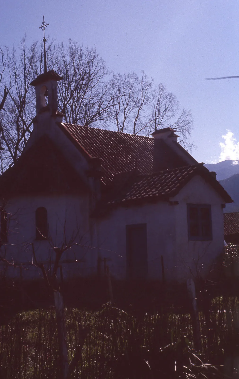 Viña Concha y Toro en Peumo, 1983