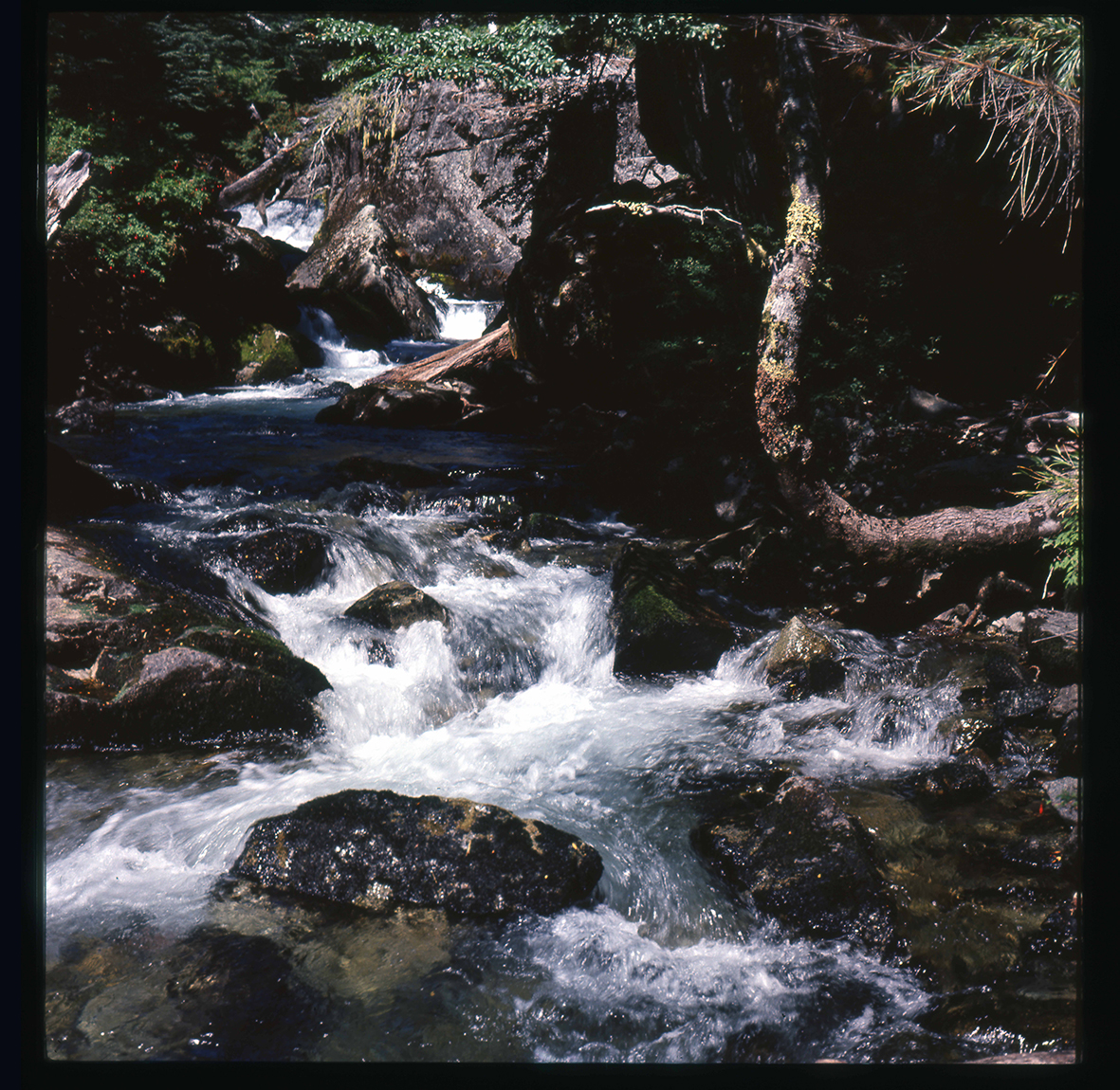 Río Petrohué, Villarrica, Región de Los Lagos, Chile, 1950 - 1965
