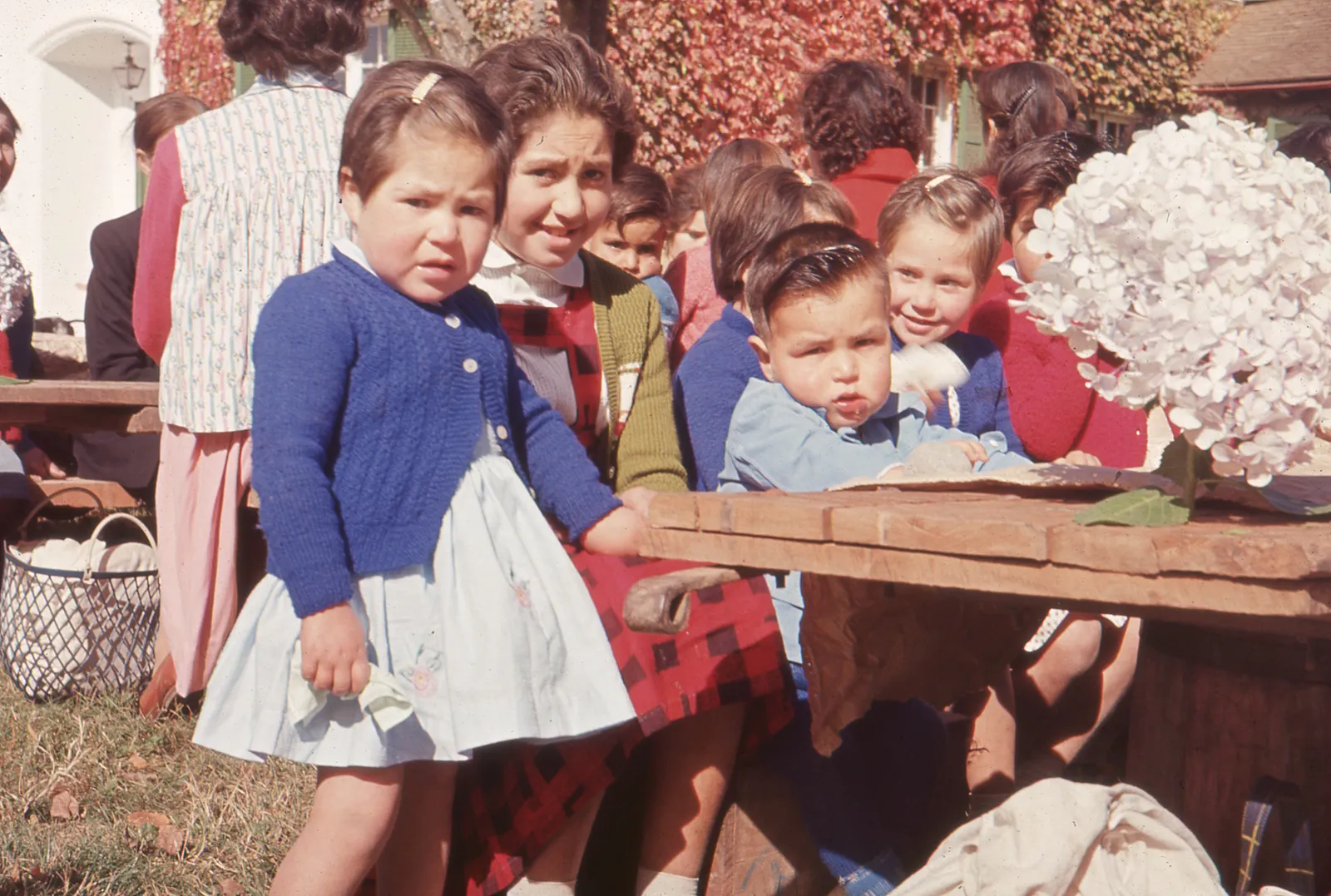 Niños en almuerzo de vendimia, 1966