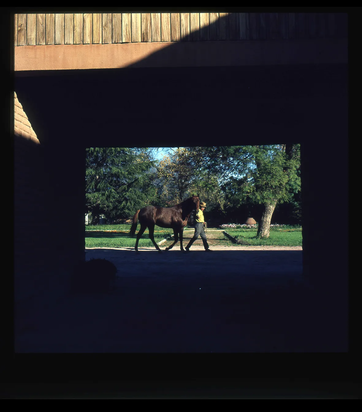 Hombre con caballo en Fundo Lo Águila, Paine, Región Metropolitana, Chile, 1950 - 1965