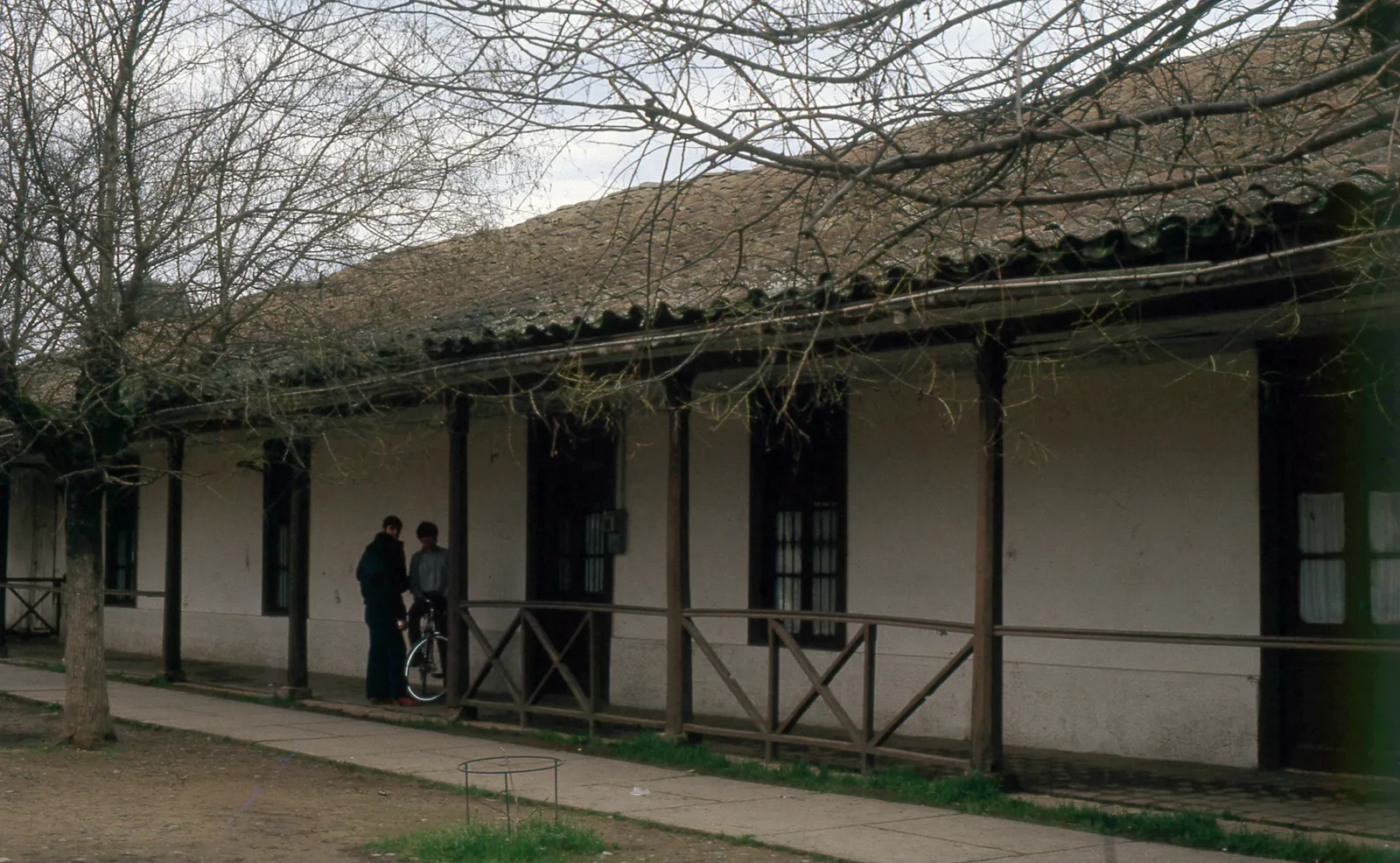 Entre Pueblo de Indios y La Puntilla, San Vicente de Tagua Tagua, 1983