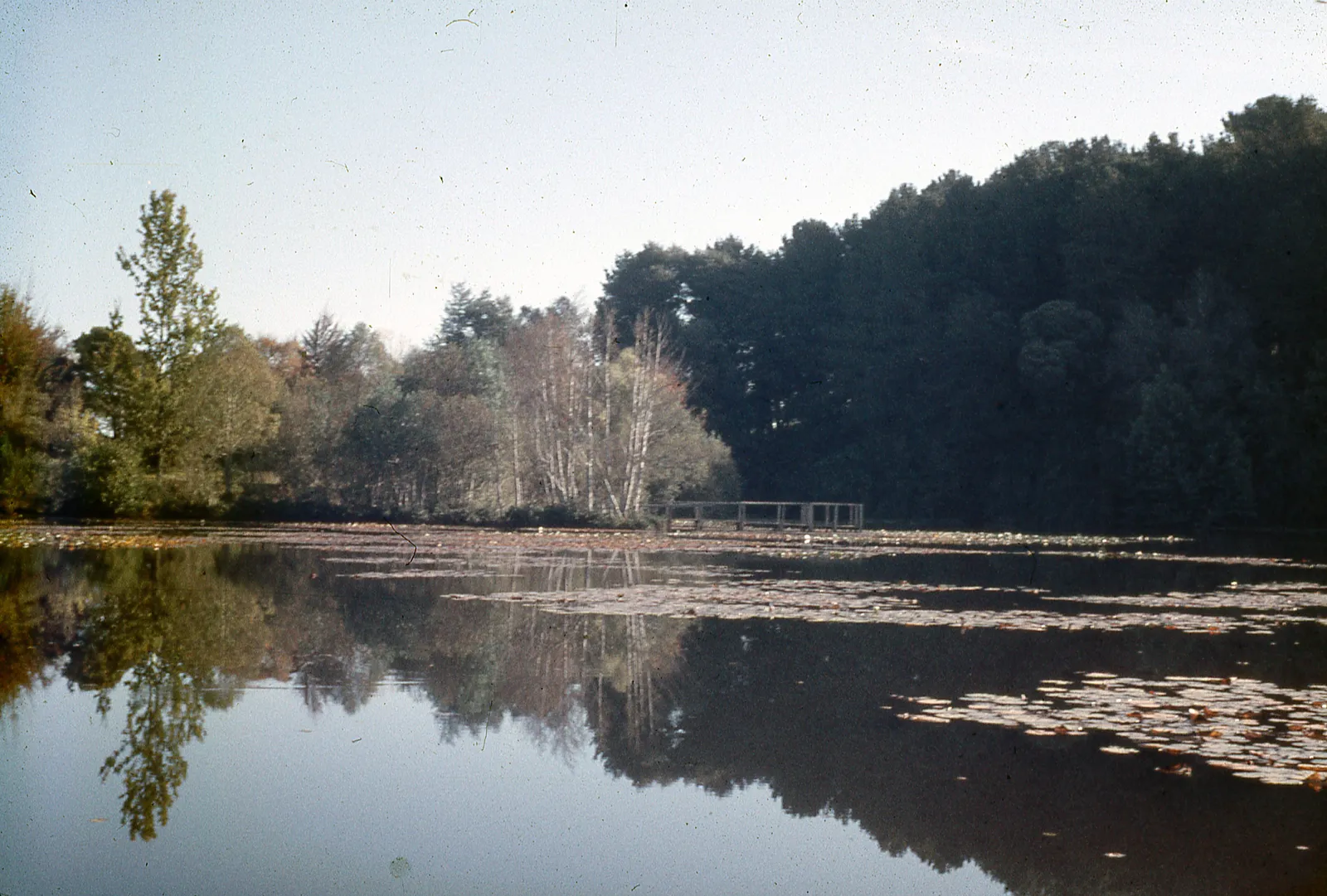Cercanías de Valdivia, 1960