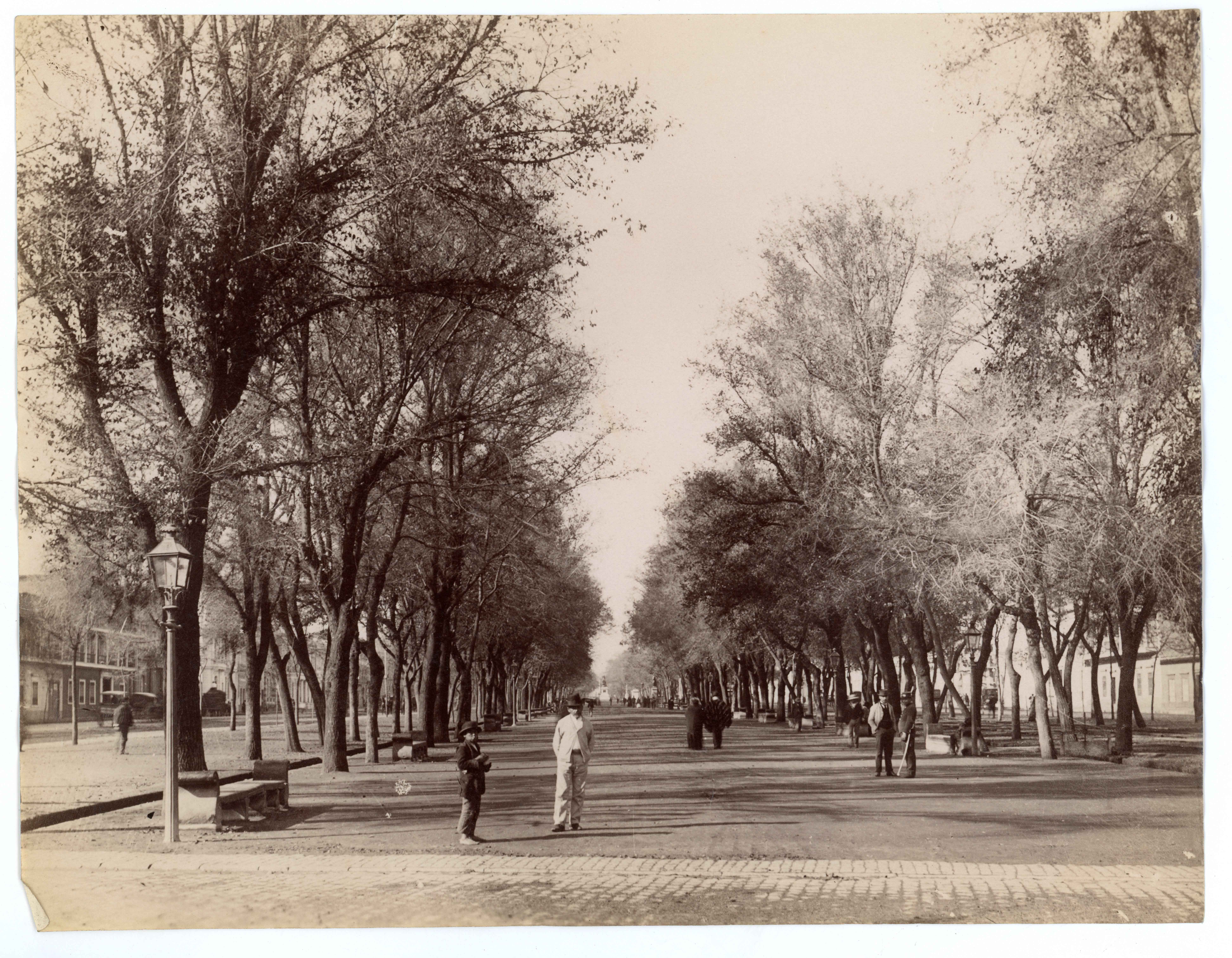 Alameda de Santiago, ca. 1904