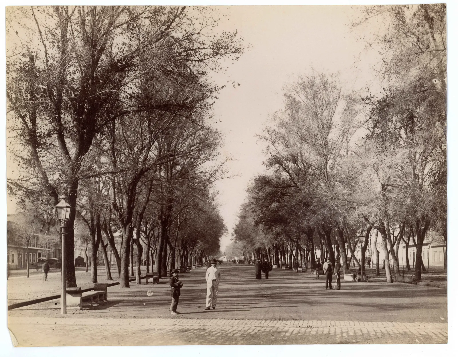 Alameda de Santiago, ca. 1904