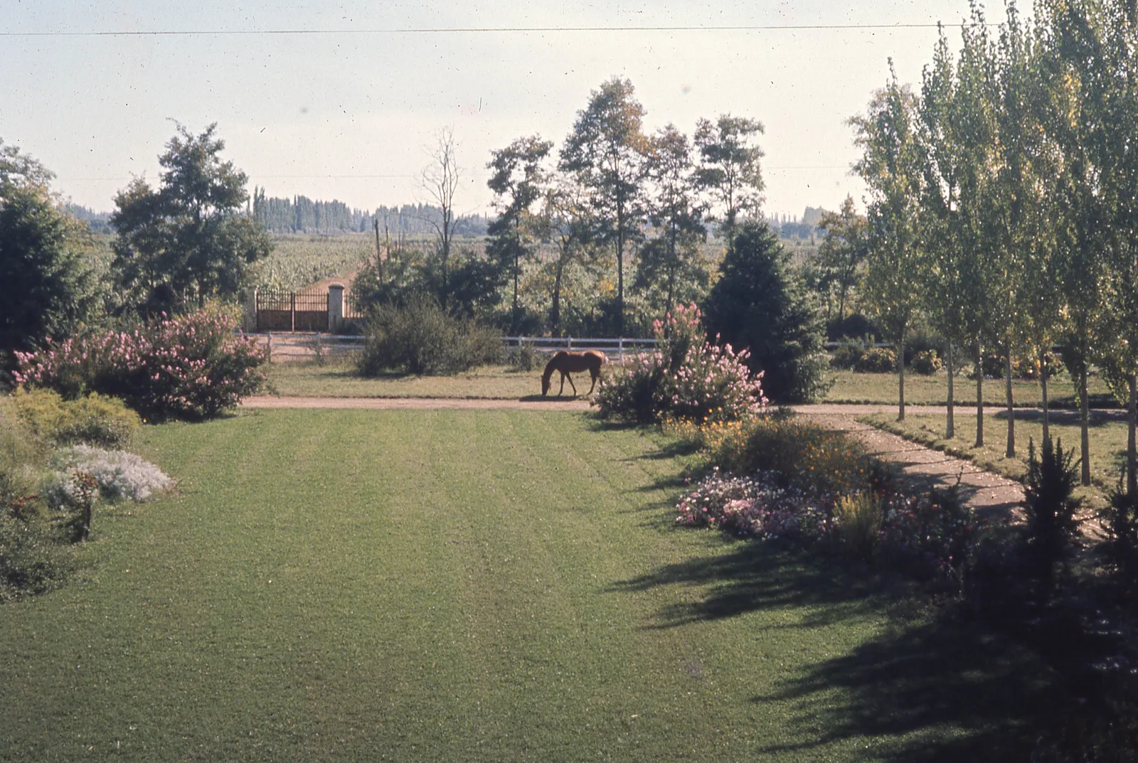 JArdín casona familiar en 1965