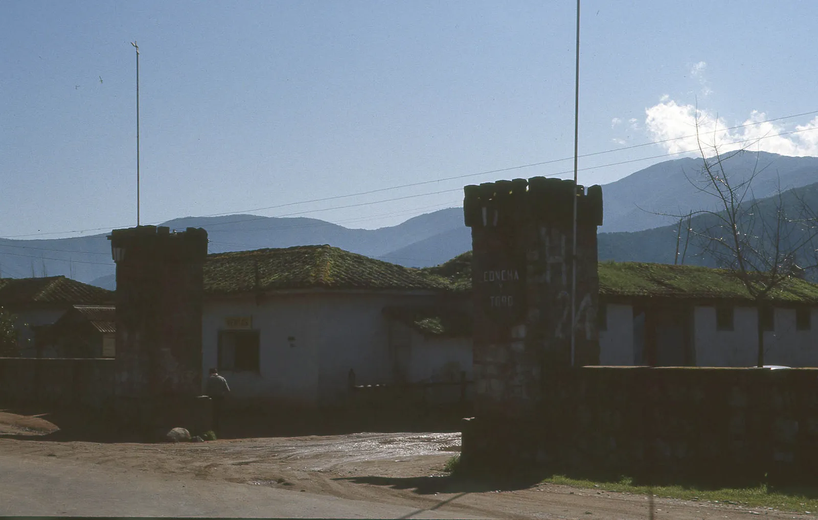 Acceso a Viña Concha y Toro, Peumo, 1983