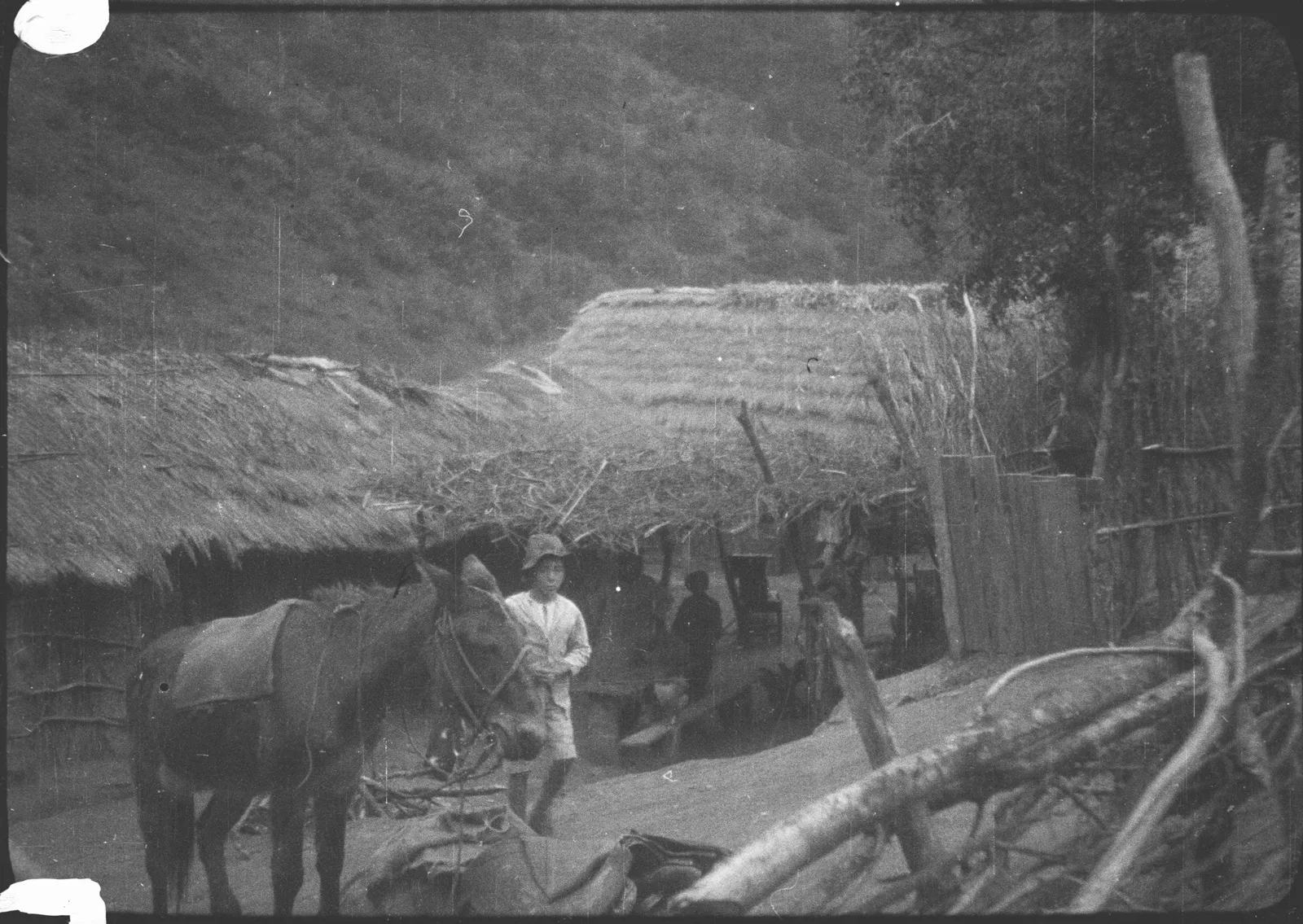 Sector rutal, niño y mula, 1928