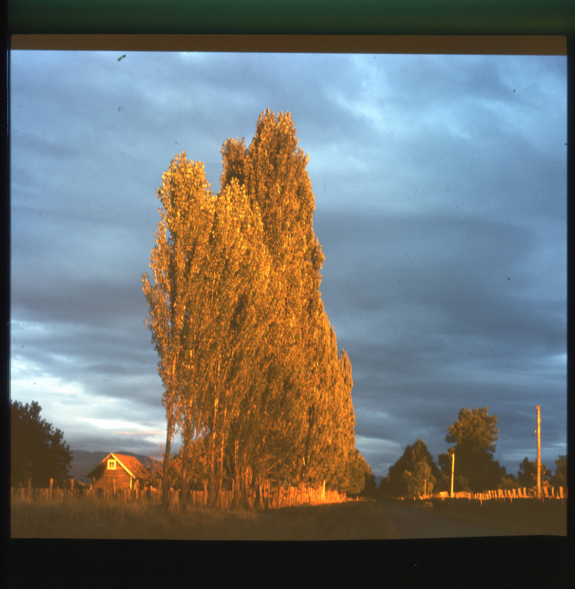 Paisaje rural sureño, Villarrica, Región de La Araucanía, Chile, 1950 - 1965