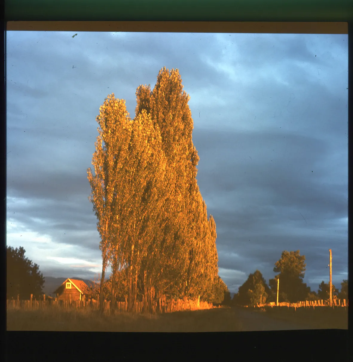 Paisaje rural sureño, Villarrica, Región de La Araucanía, Chile, 1950 - 1965