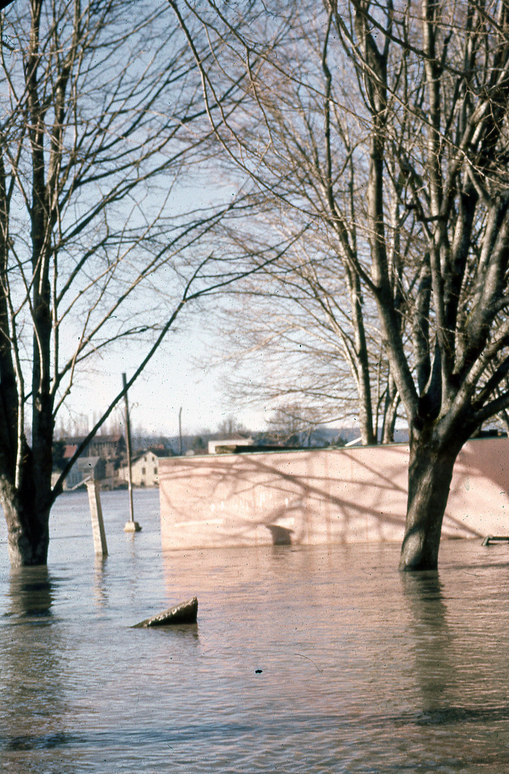 Daños del Terremoto y Maremoto de Valdivia, 1960